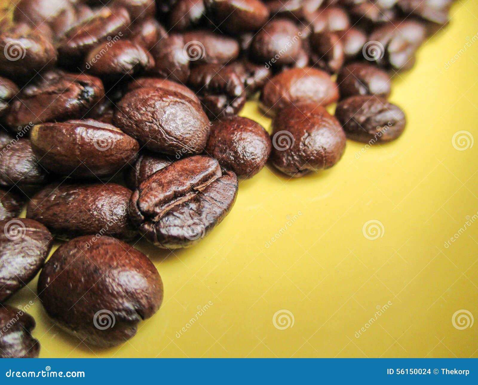 Coffee beans stock photo. Image of superfood, coffee 56150024