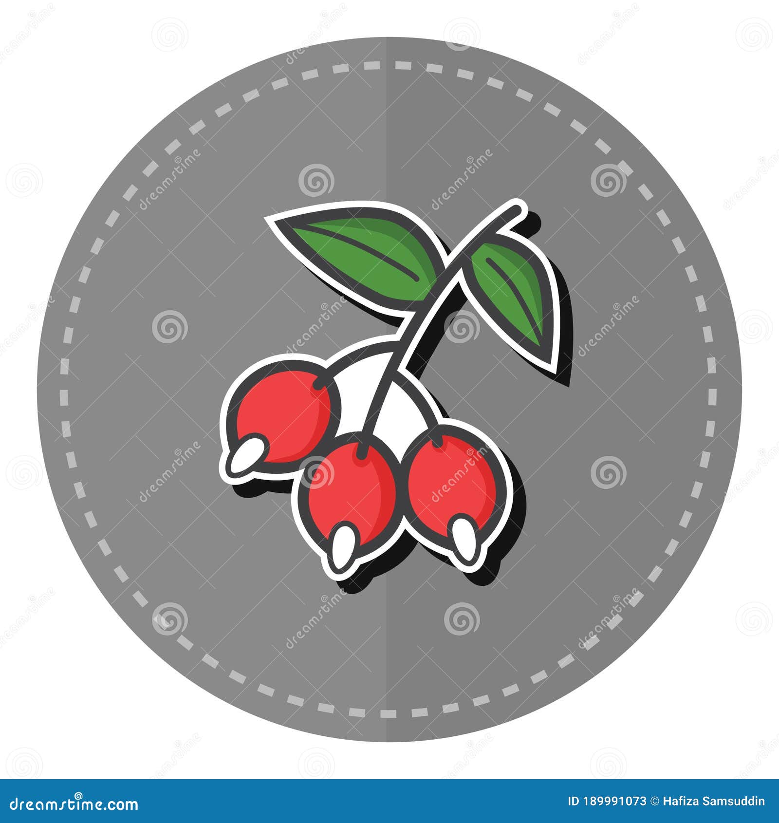 Coffee Berries. Vector Illustration Decorative Design Stock Vector