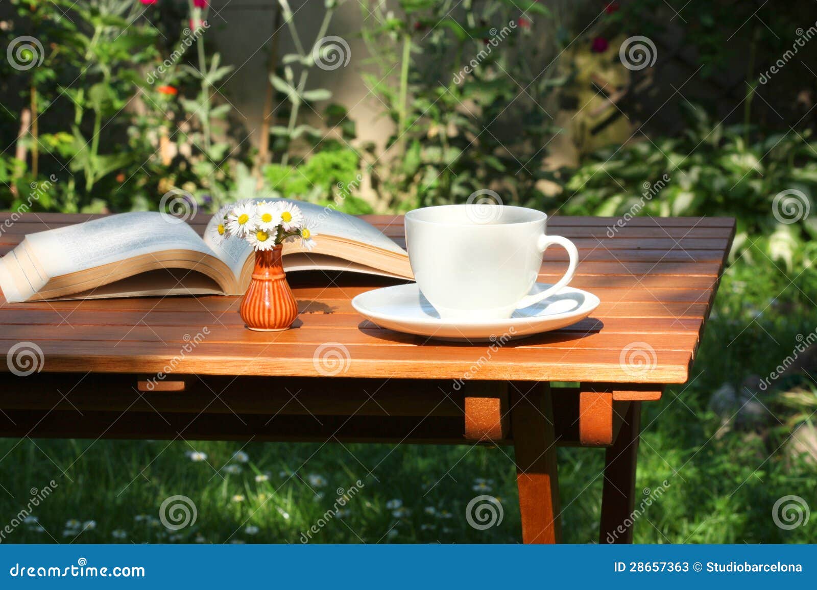 Coffee and book in garden stock image. Image of daisy 28657363