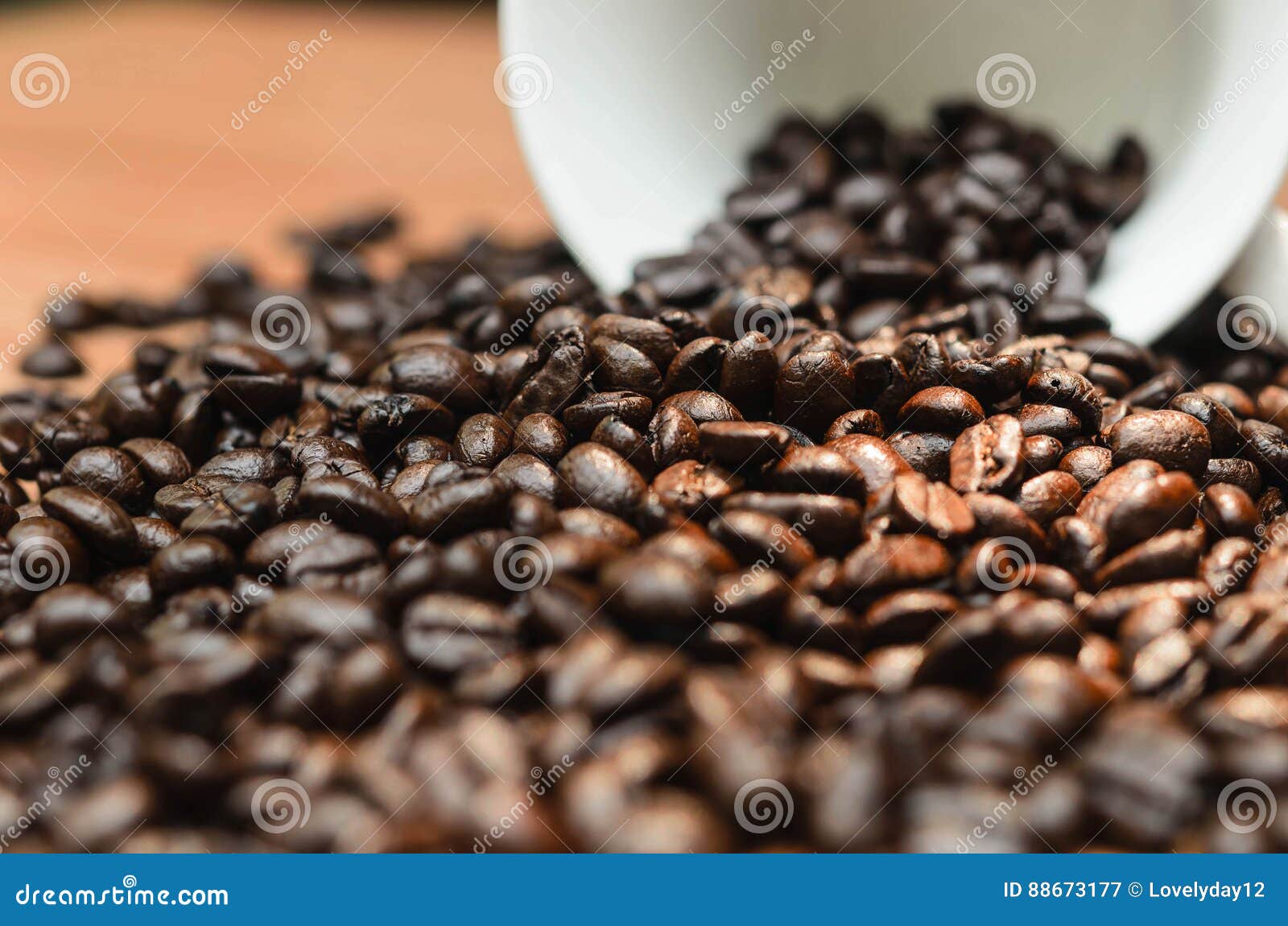 Coffee. Coffee Cup Full of Coffee Beans Stock Image Image of espresso
