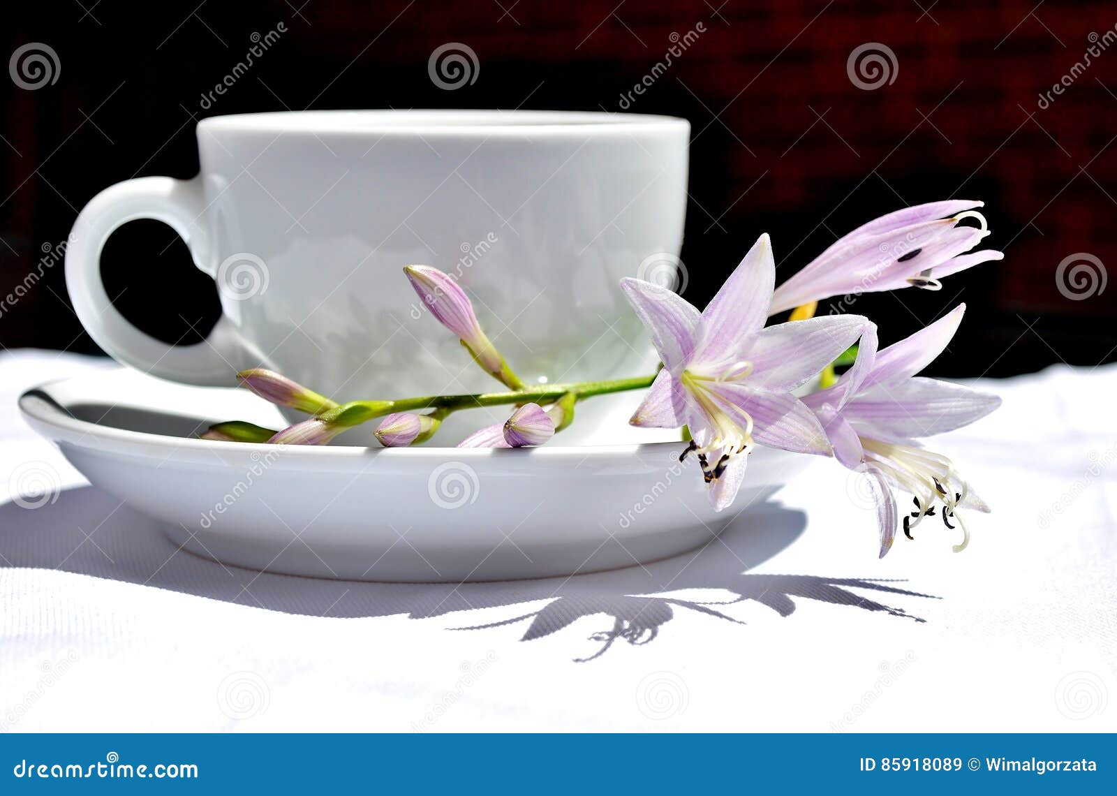 coffee cup and flowers.
