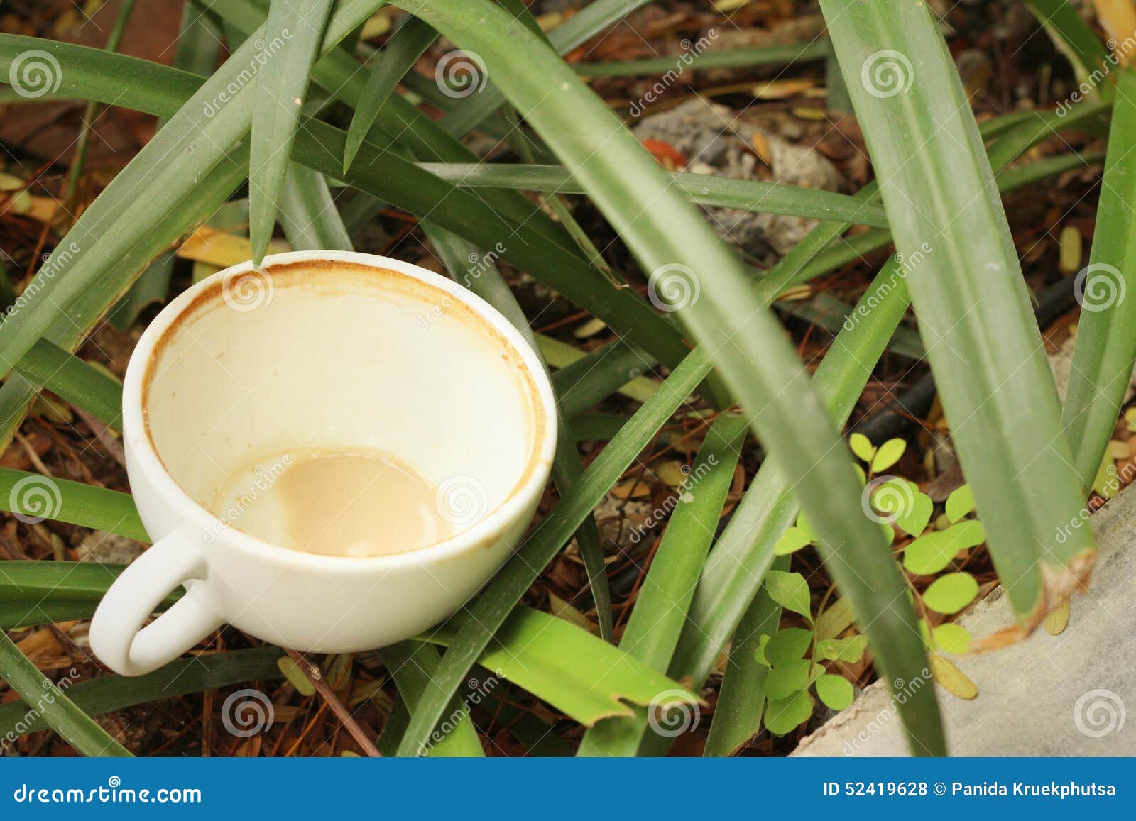 Coffee Cup is Then Used on a Green Grass Background. Stock Photo