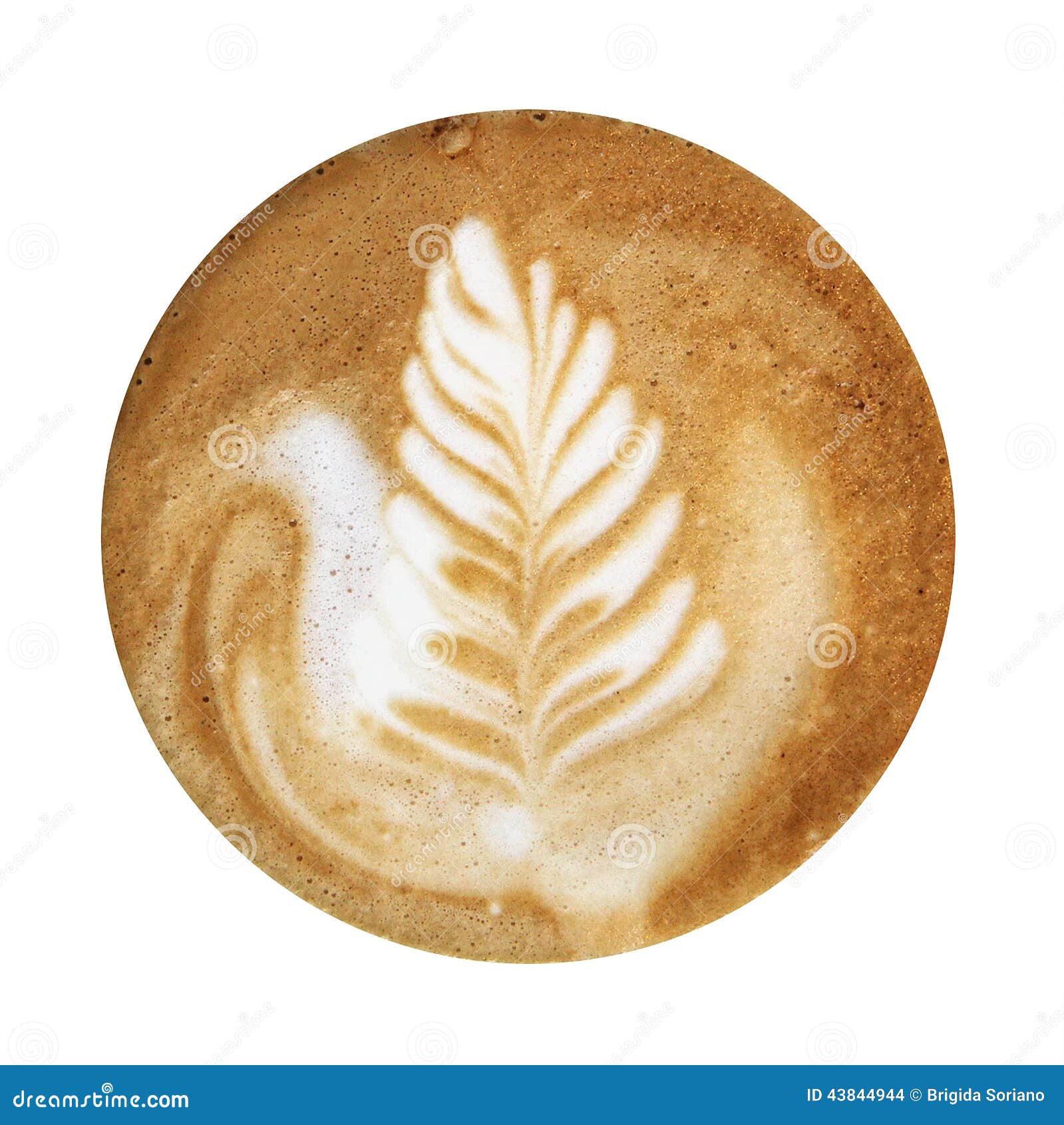 Coffee Foam Close Up Free Stock Photo