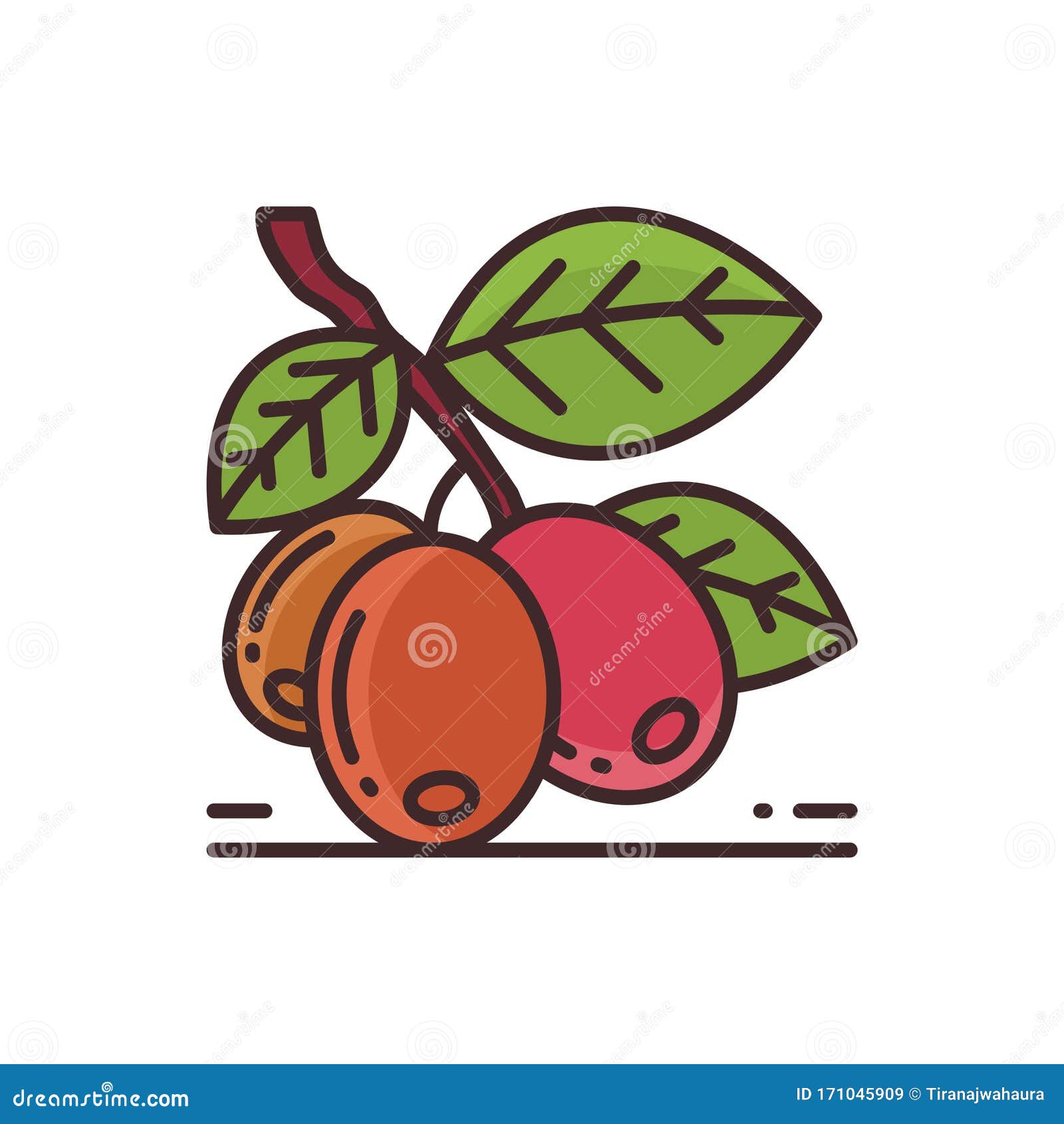 Coffee Fruit, with Branches and Leaves. Isolated on White Background