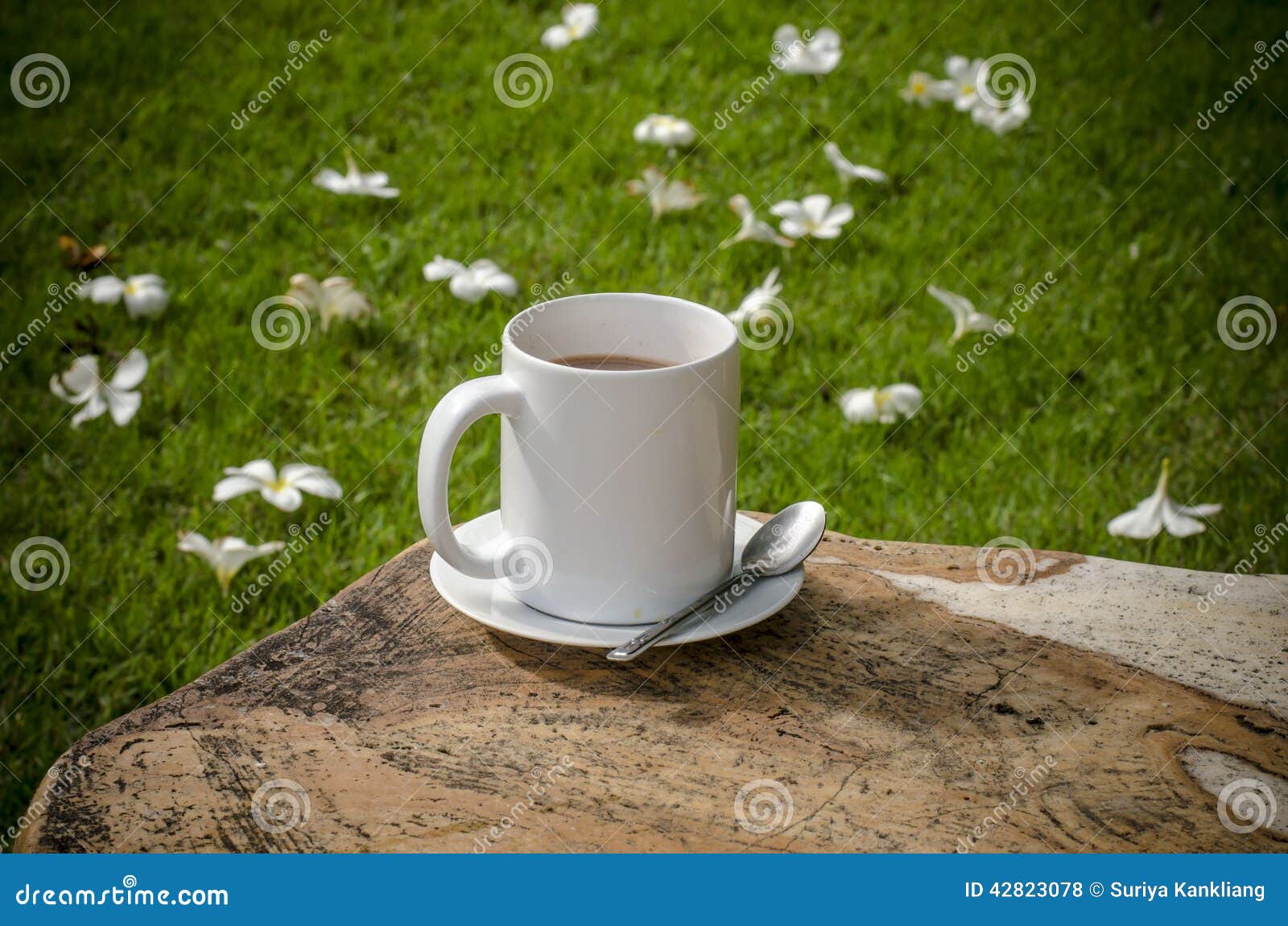 Coffee in garden stock photo. Image of grass, green, nature 42823078