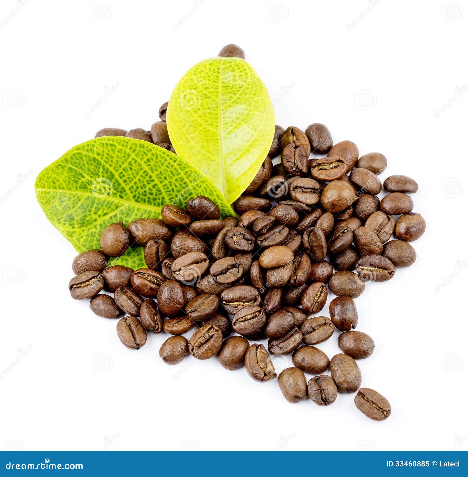 Coffee grains and leaves stock image. Image of agriculture 33460885