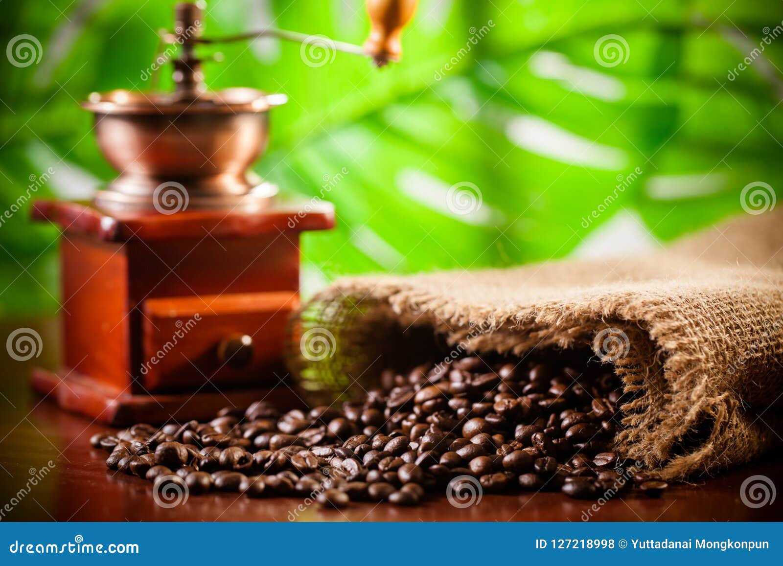 Coffee Grinder with Coffee Beans Stock Photo Image of coffeebean