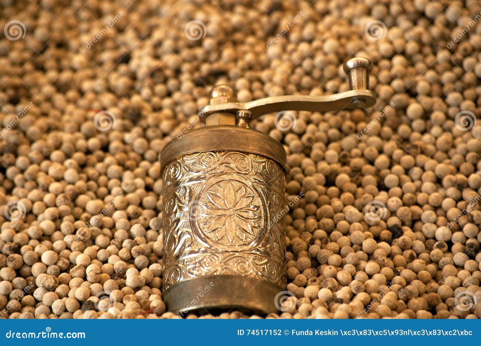 Coffee Grinder and Roasted Chickpea Stock Photo Image of food, macro