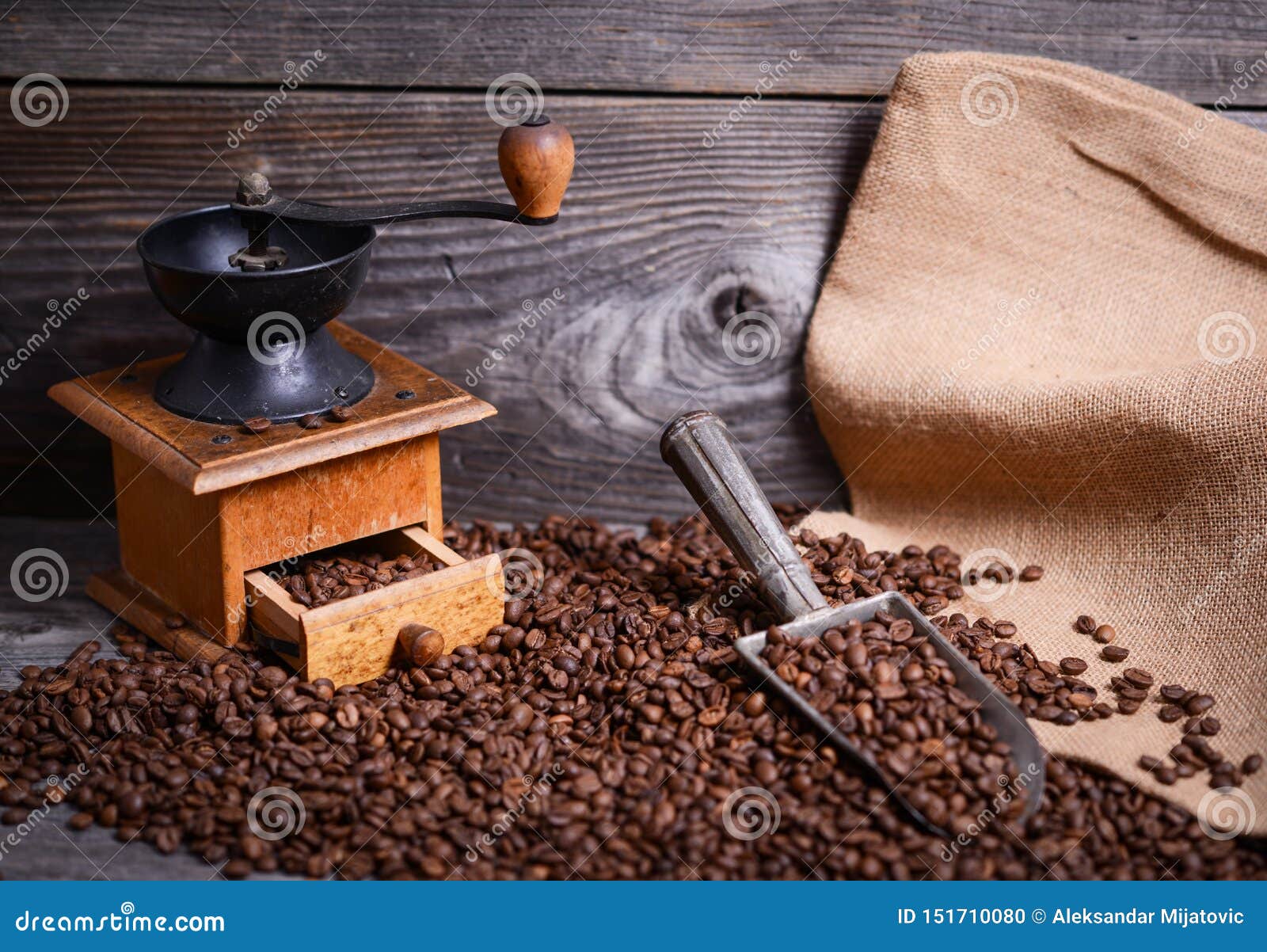 Coffee Grinder Sack and Vintage Scoop with Coffee Beans Stock Photo