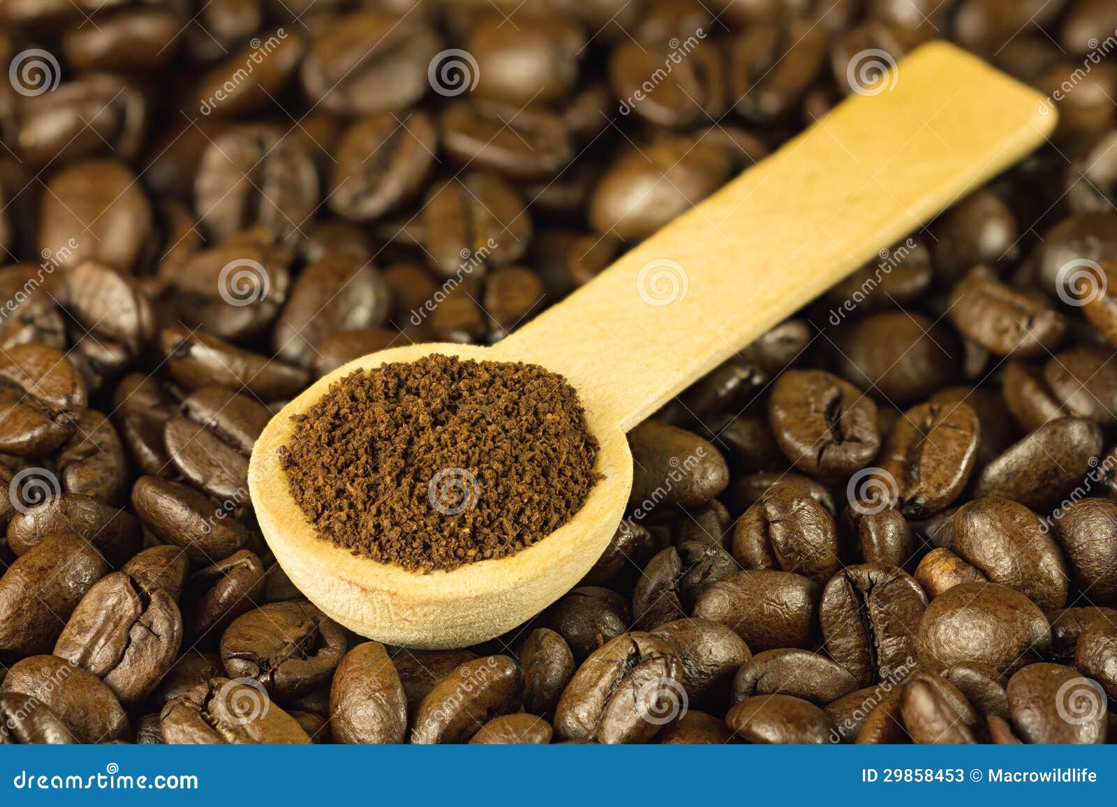 Coffee Ground in Spoon on Coffee Stock Image Image of healthy