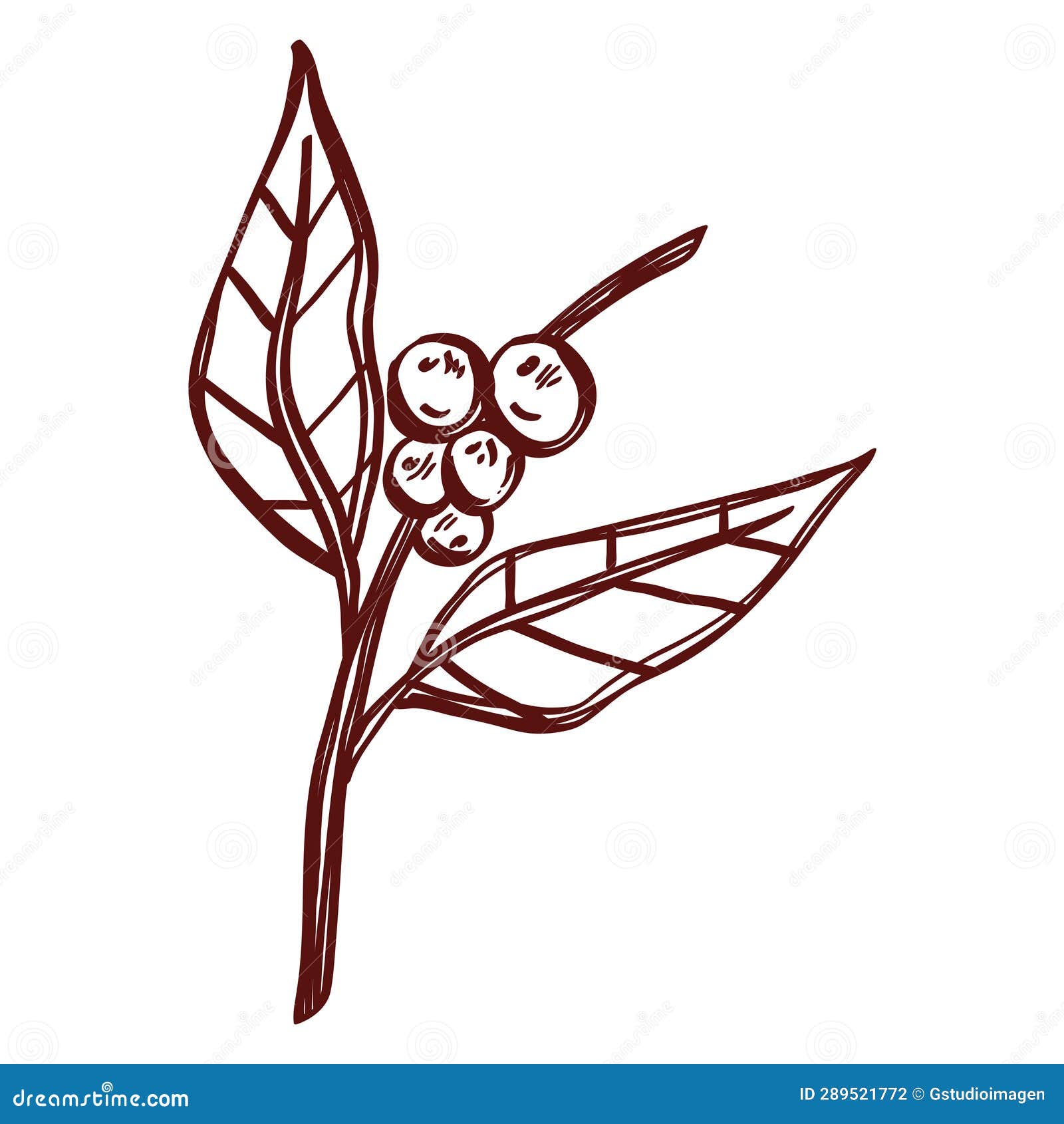 Coffee leaf and beans icon stock illustration. Illustration of machine