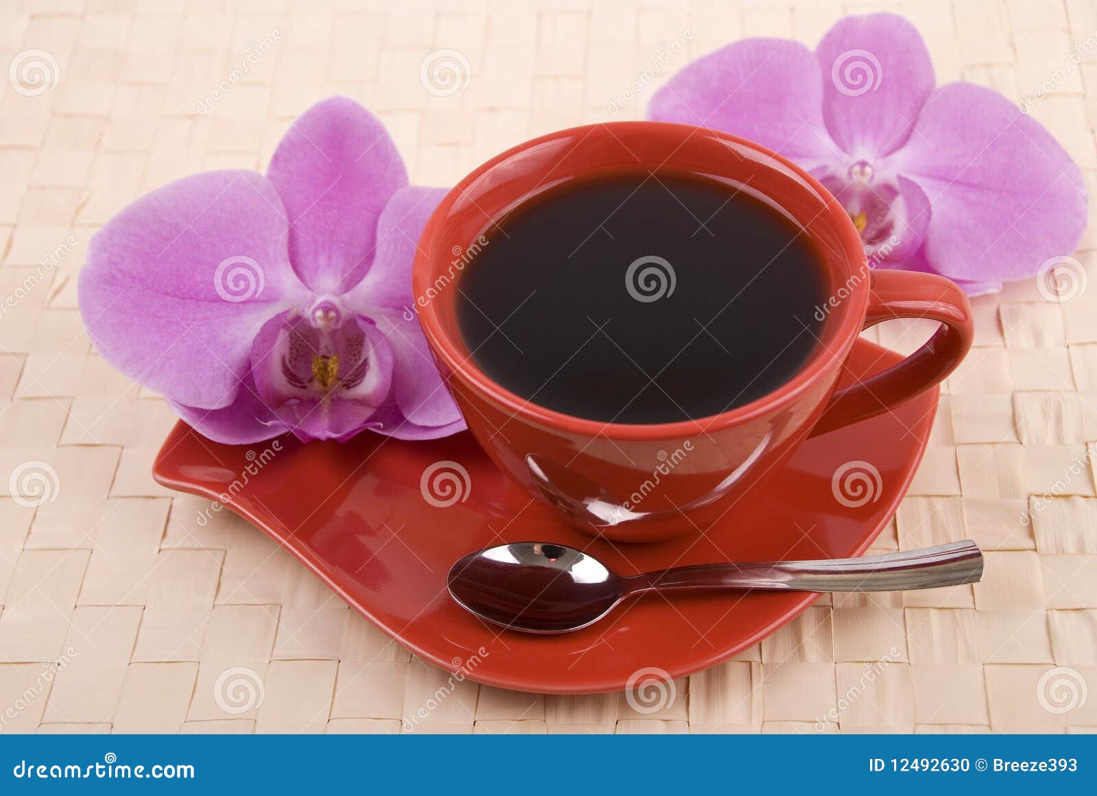 Coffee and orchid stock photo. Image of coffee, dishware 12492630