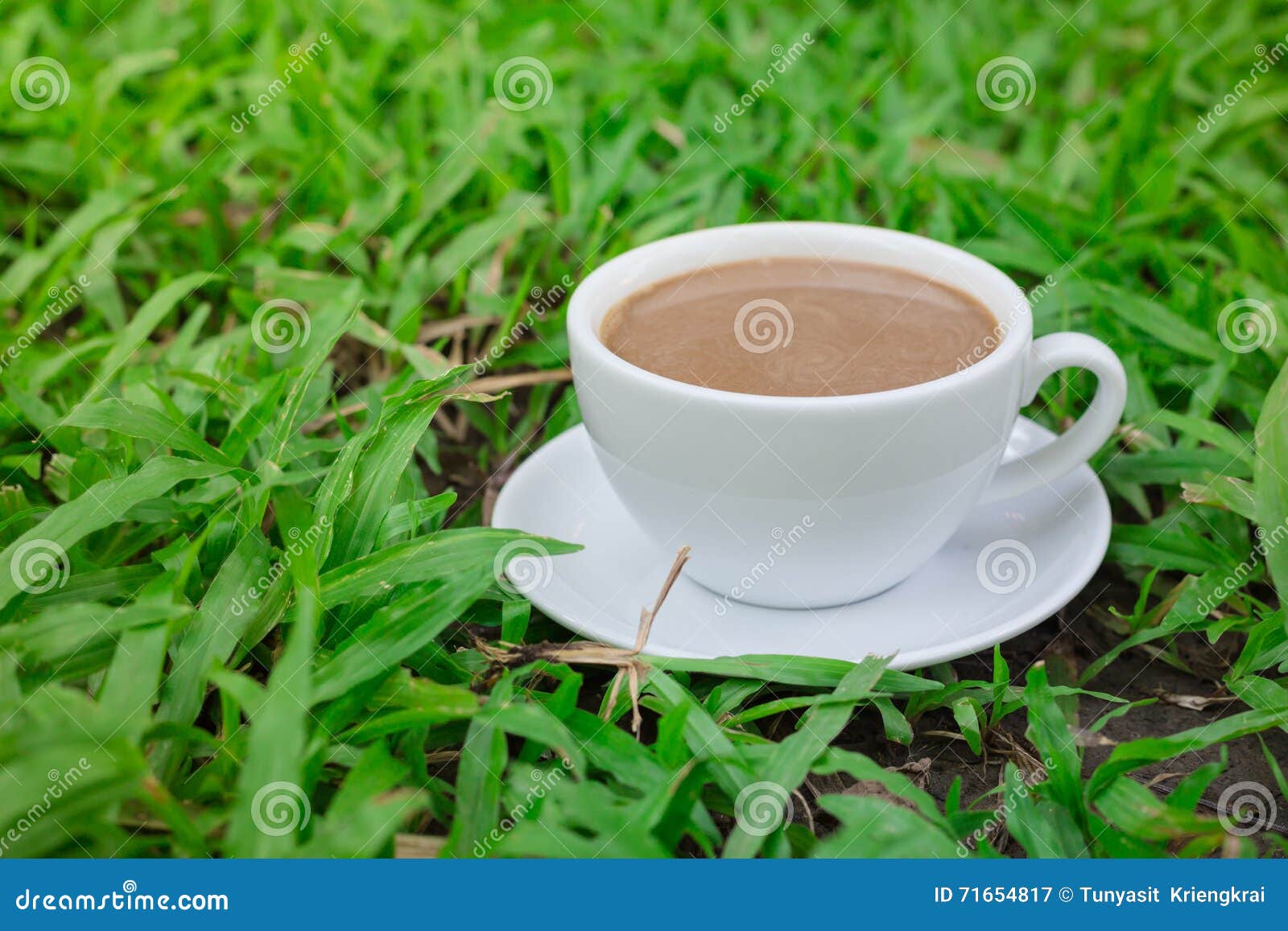 Coffee Over the Grass in the Garden Stock Image Image of relax