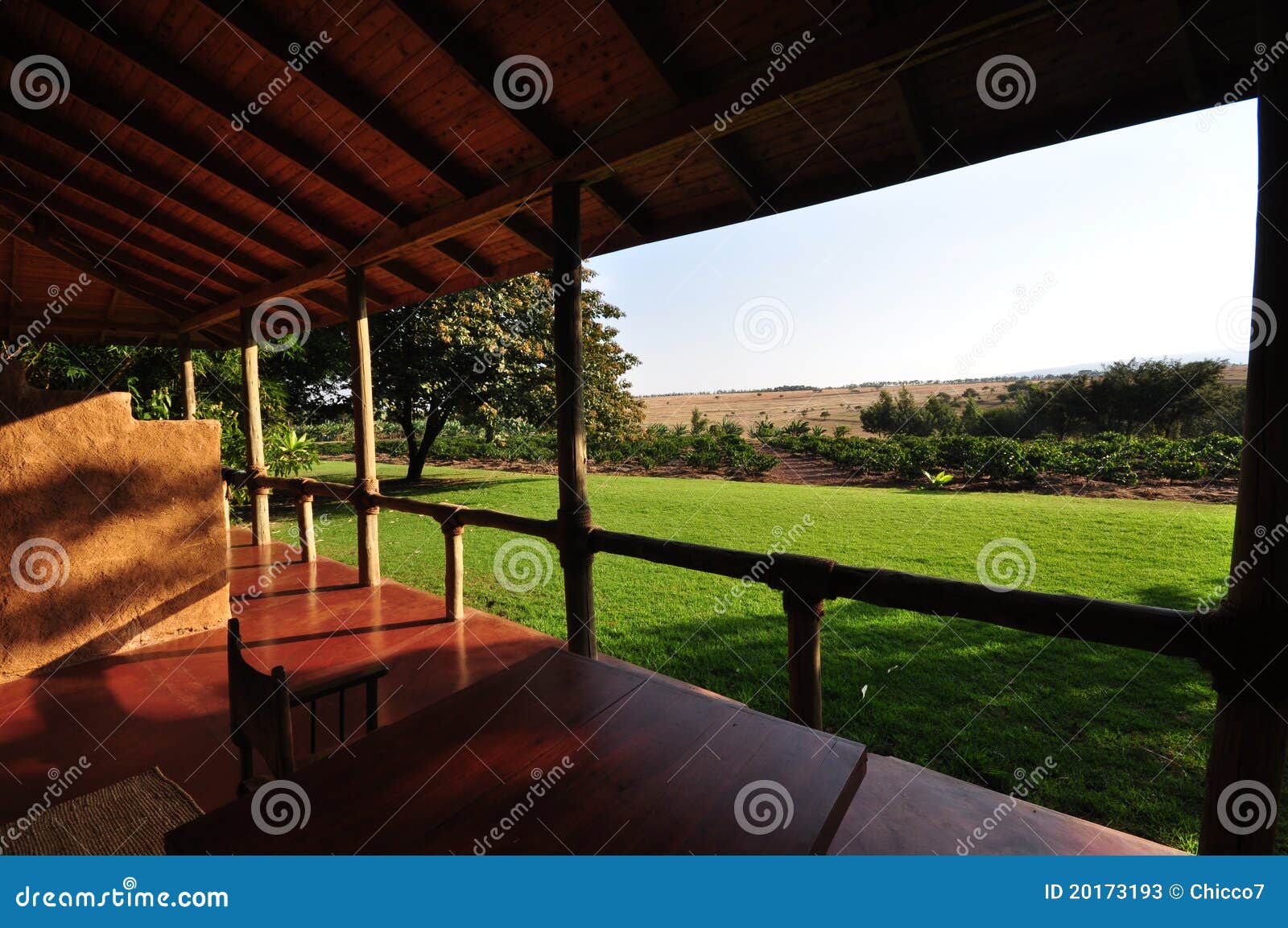 Coffee Plantation from a Luxury Veranda Stock Image Image of growing