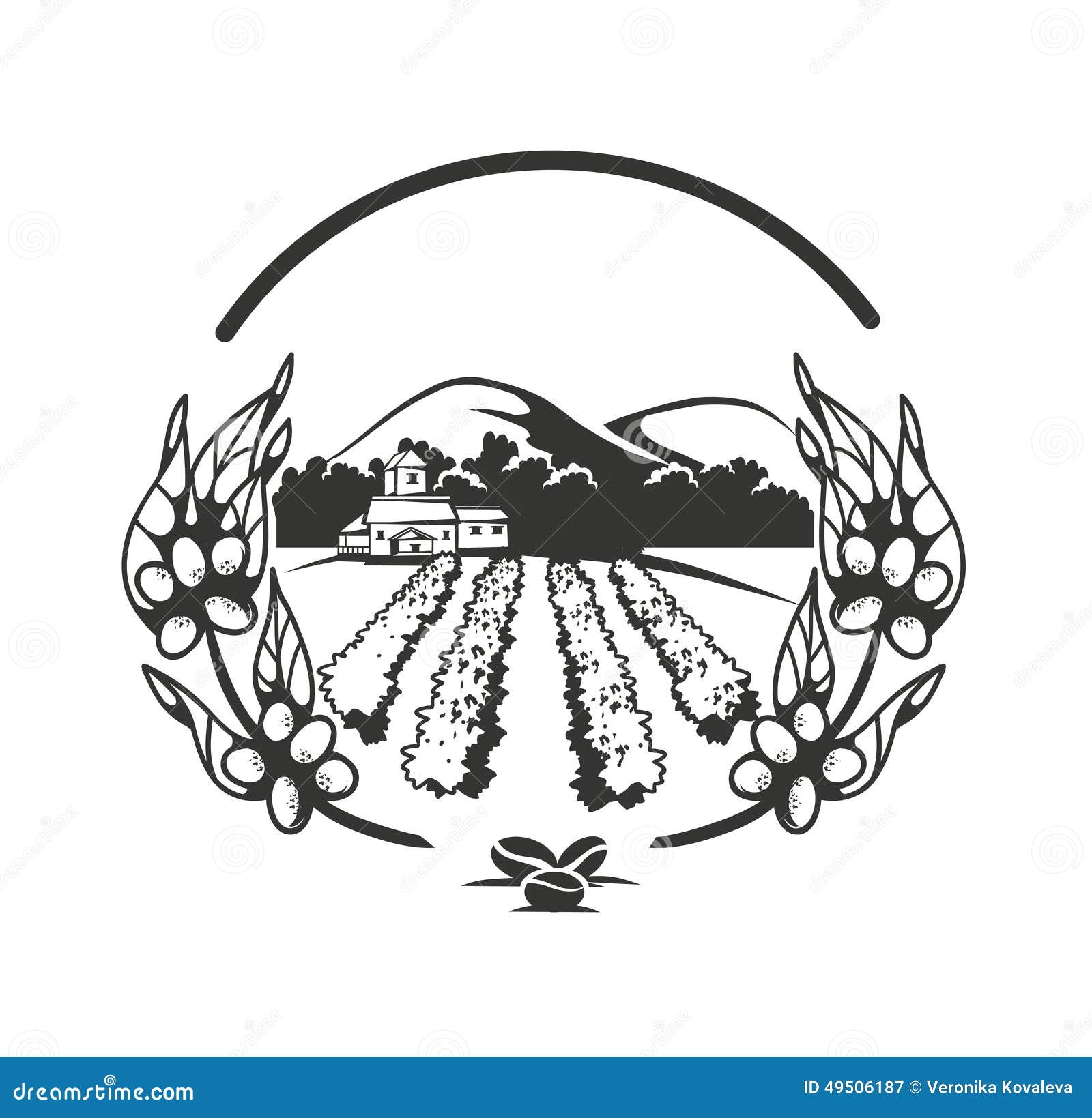 Coffee plantations banner stock vector. Image of vector 49506187