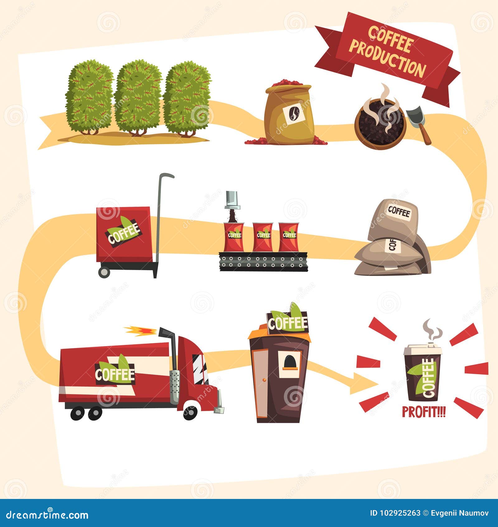 Coffee Production In Process Infographic Stock Vector - Illustration of