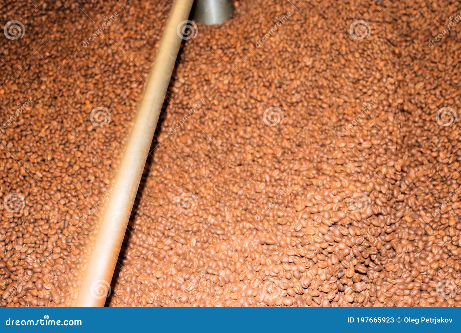 Coffee Roast in a Machine in a Factory Stock Image Image of food