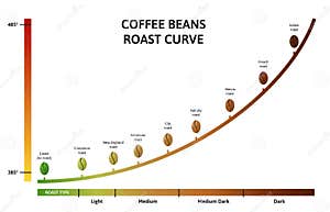 Coffee Roasting House Background Vector Illustration CartoonDealer 