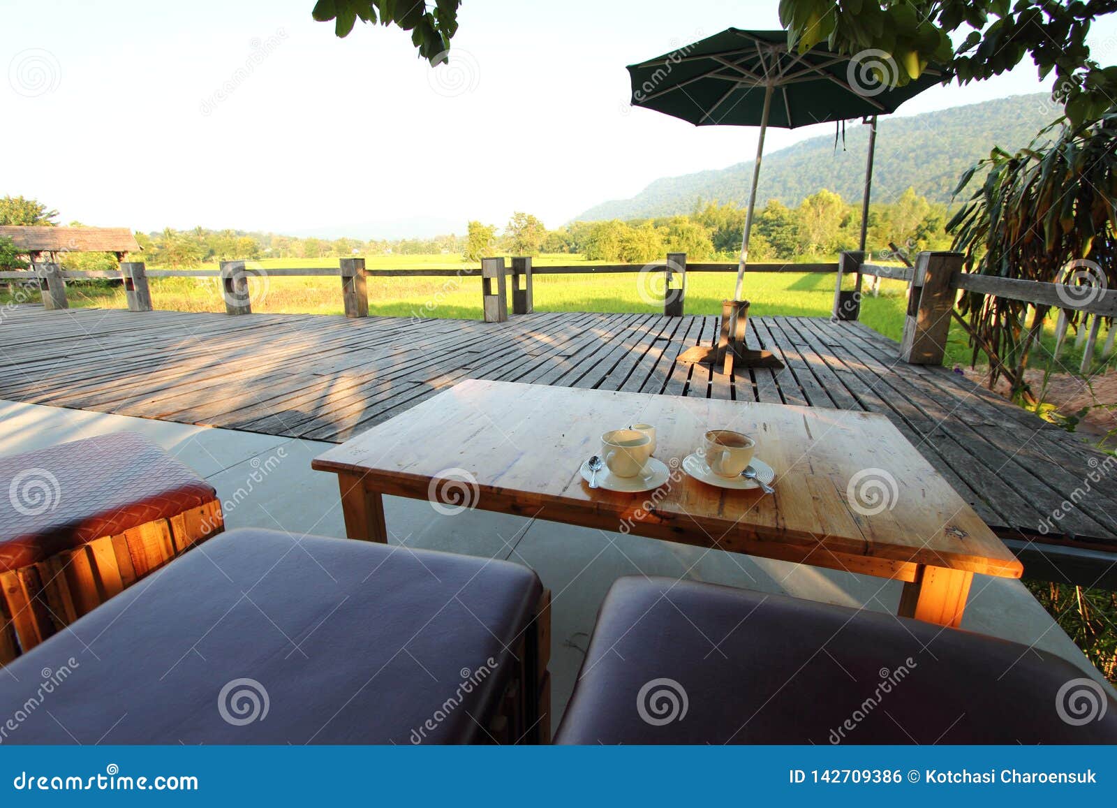 Coffee Shop Stock Photo Image Of Furniture Summer 142709386