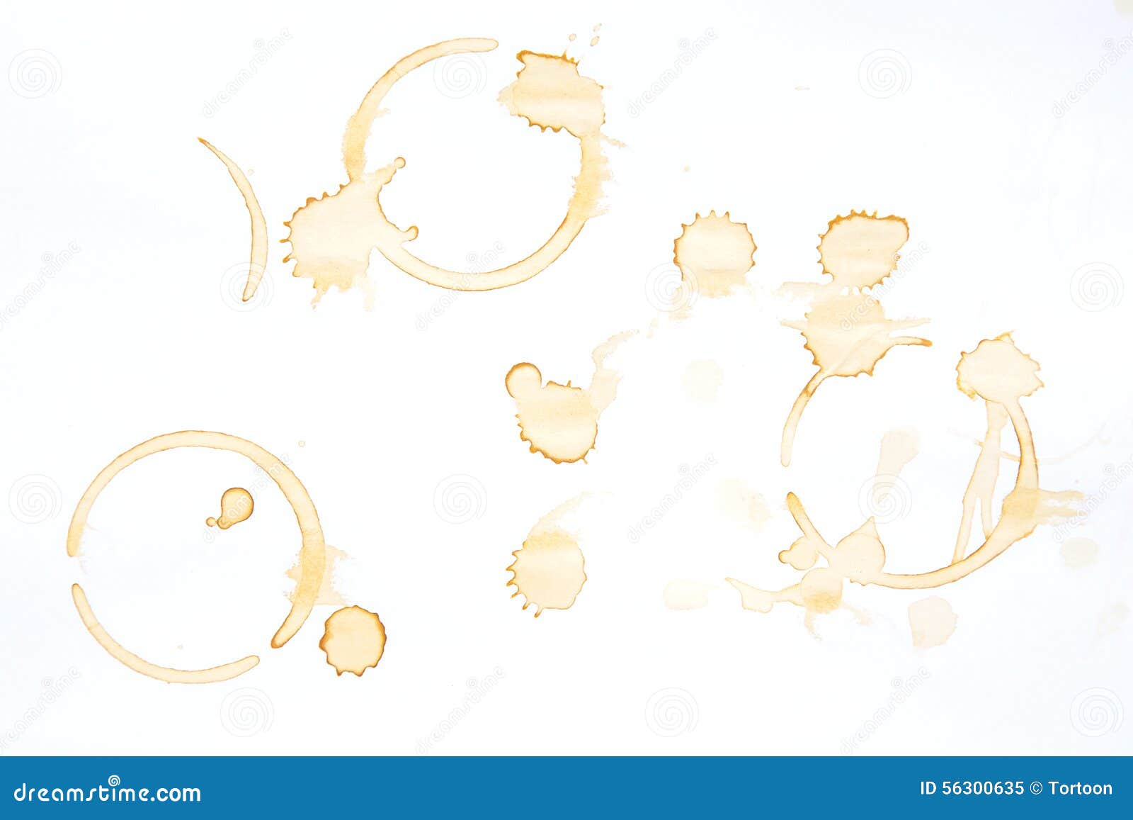 Coffee Stains and Coffee Cup Stains on White Stock Image Image of