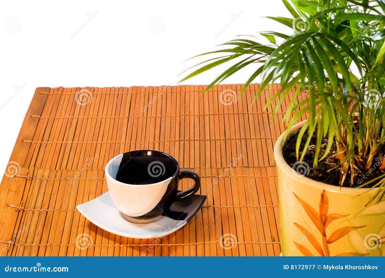 Coffee Table with House Plant in a Pot Stock Image Image of refresh