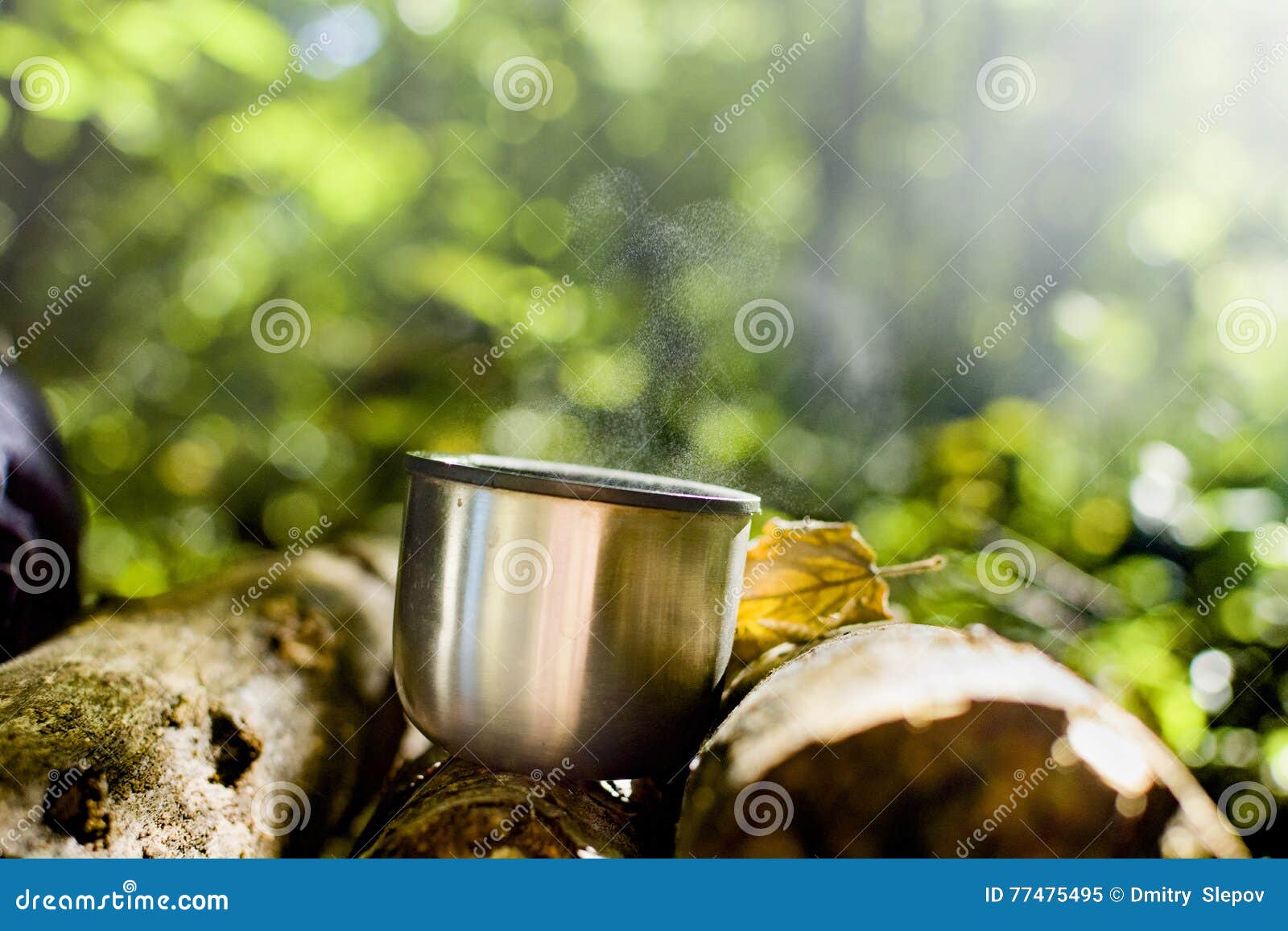 Coffee in the woods stock image. Image of camping, nature 77475495