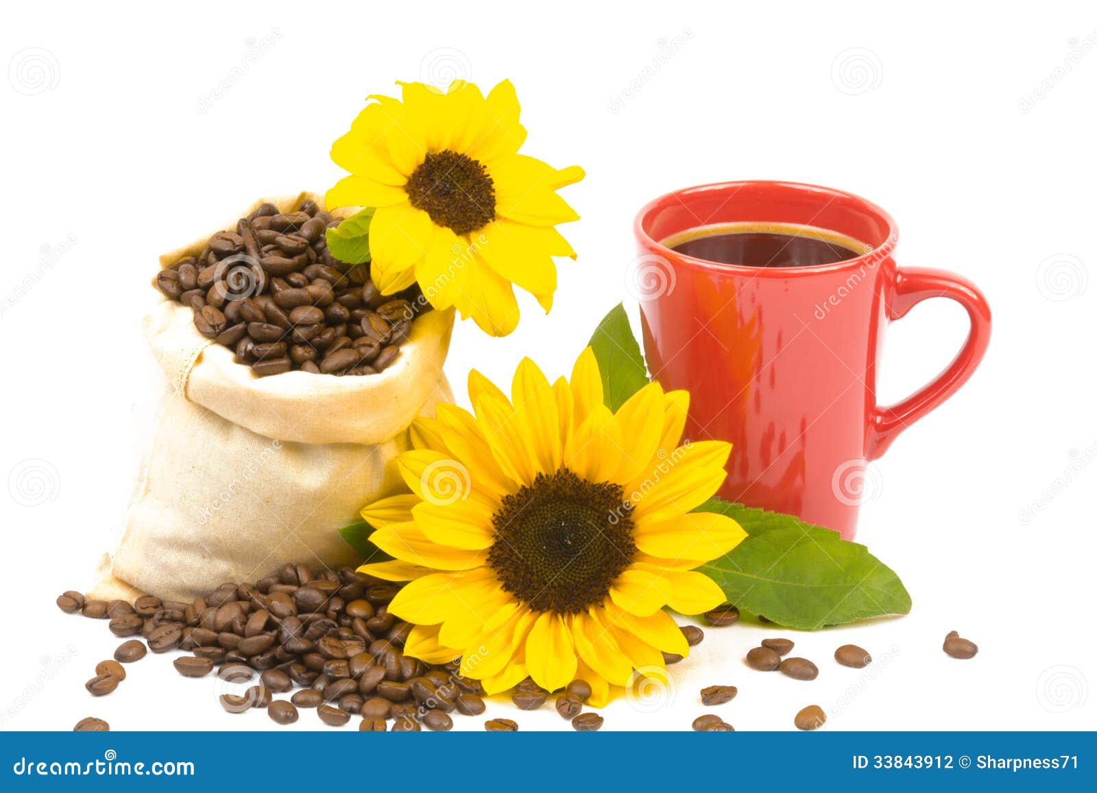 Coffeebeans Cup Sunflower 2 Stock Photography Image 33843912
