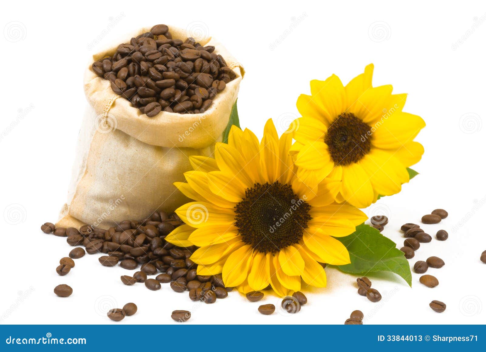 Coffeebeans sunflowers 2 stock image. Image of product 33844013