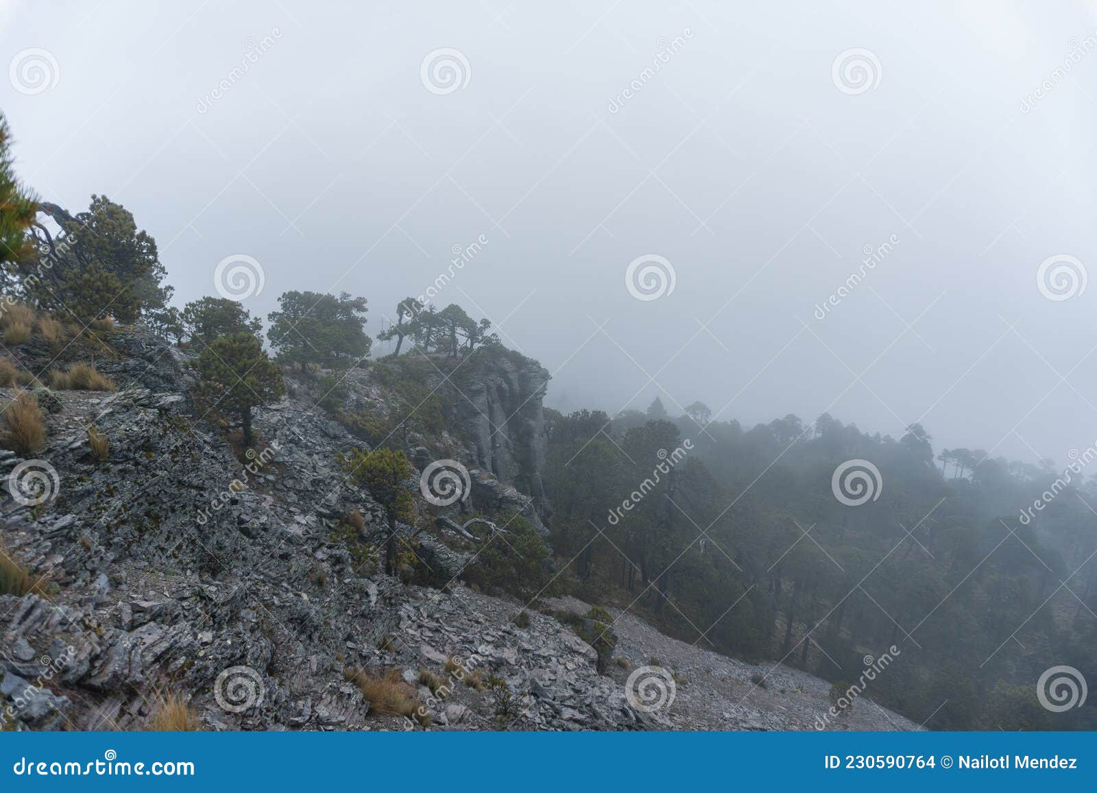 cofre de perote in a foggy day