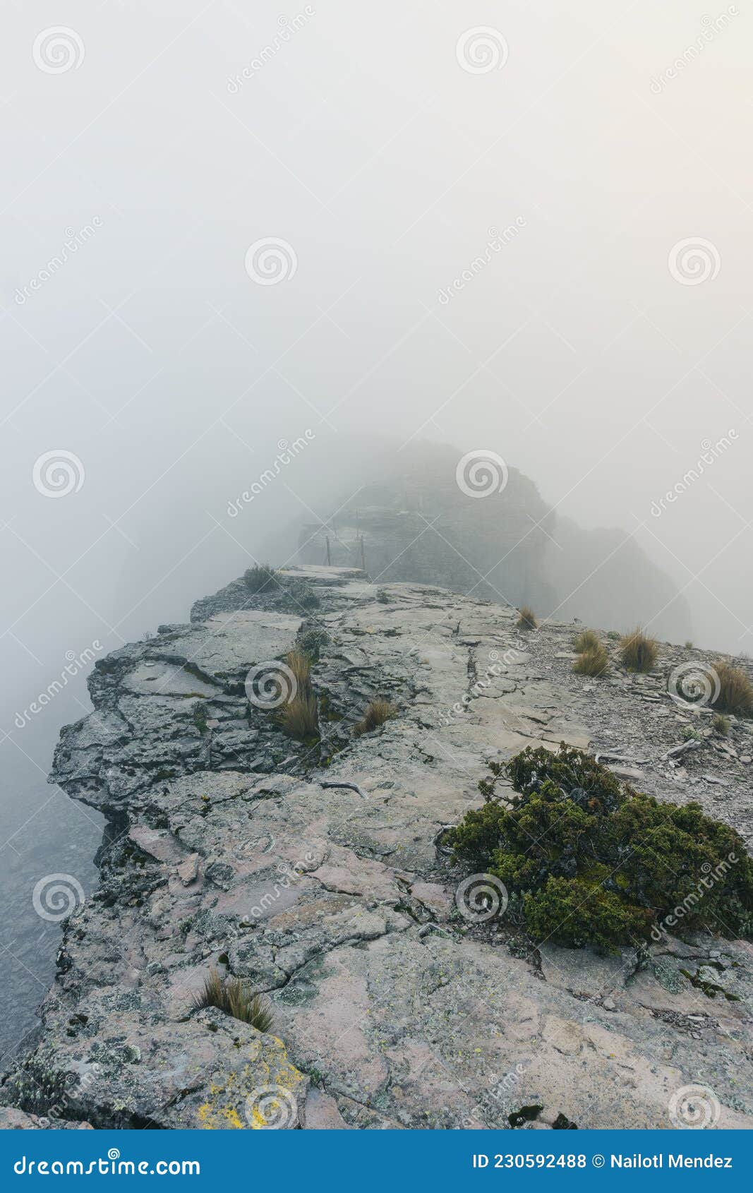cofre de perote mountain peak in fog