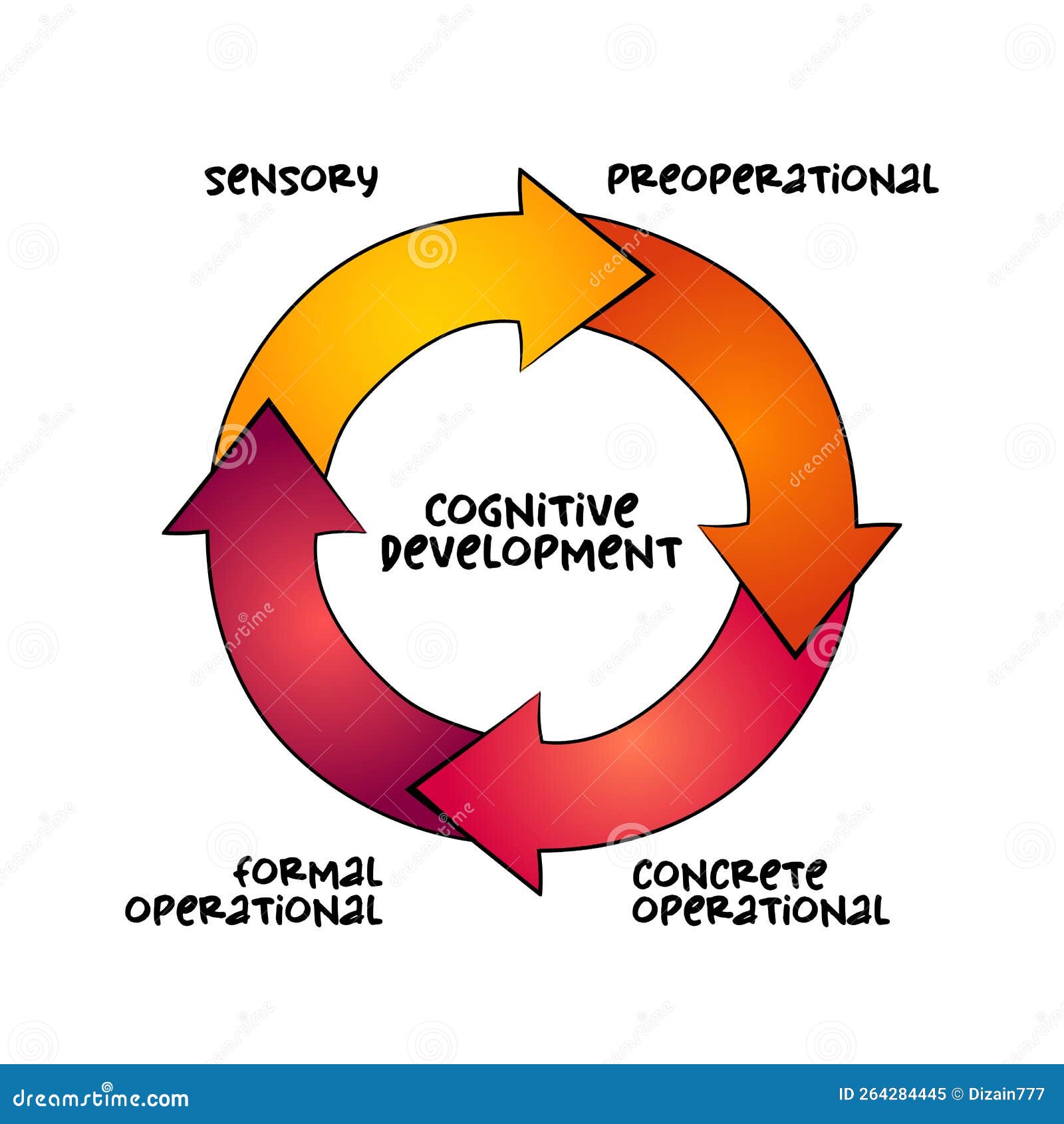 Process of cognitive development sale
