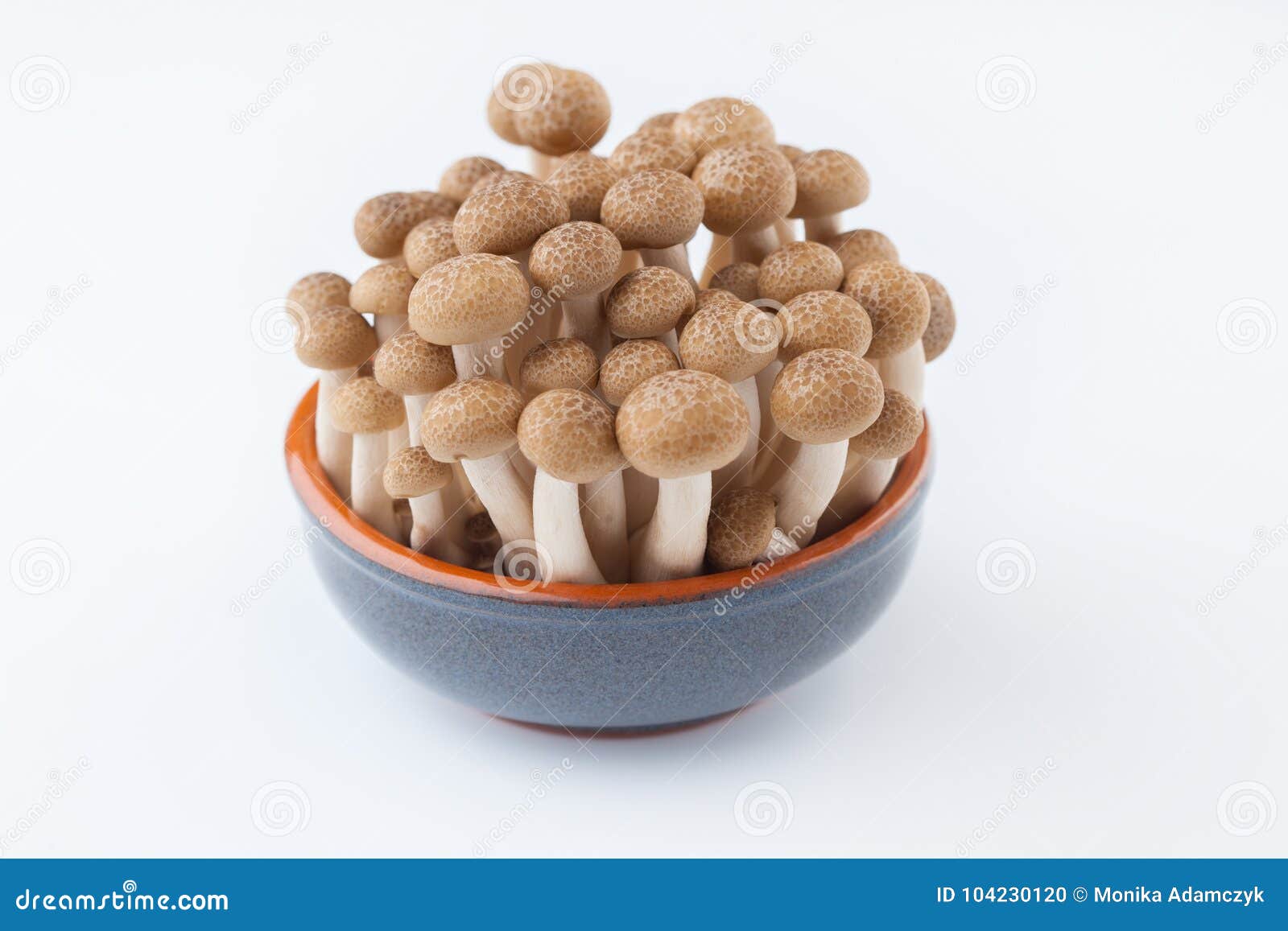 Cogumelo De Shimeji No Branco Foto de Stock Imagem de delicadeza