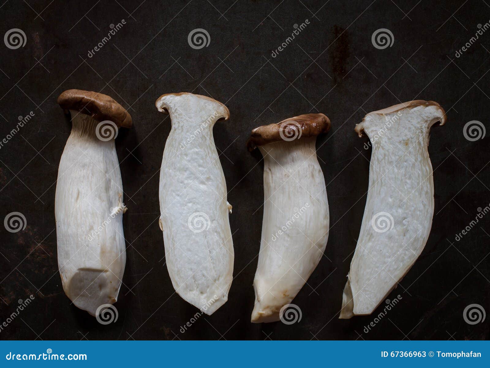 Cogumelo Do Rei Oyster (Eringi) Imagem de Stock Imagem de haste, faca