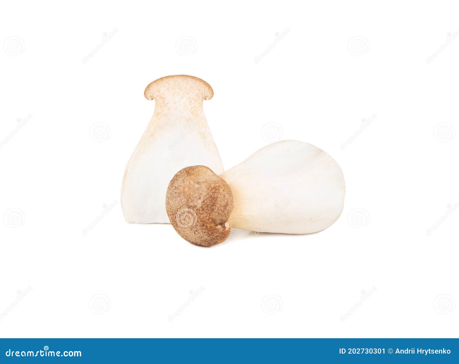 Cogumelo eringi com metade imagem de stock. Imagem de fungos 202730301