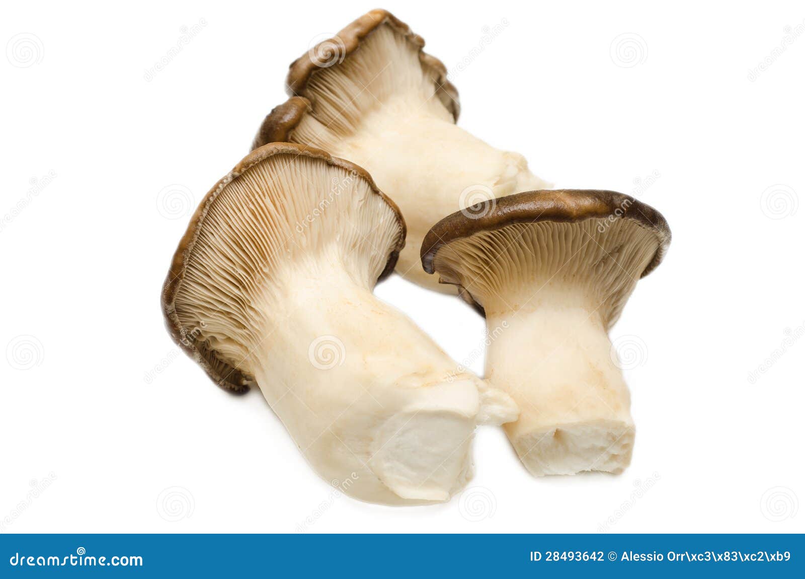 Cogumelos de Cardoncello foto de stock. Imagem de carbohydrates - 28493642