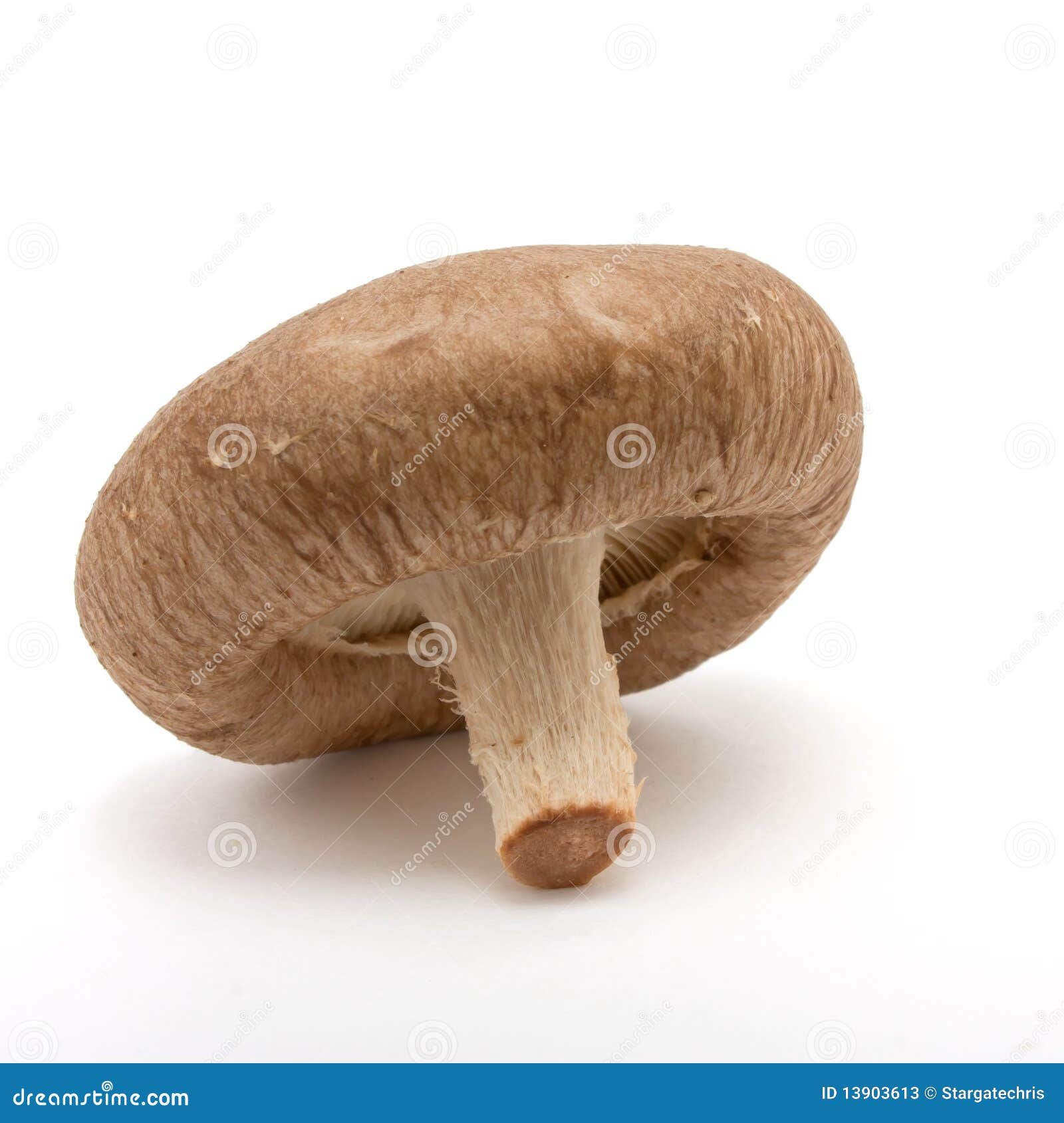 Cogumelo Shitake Inteiro