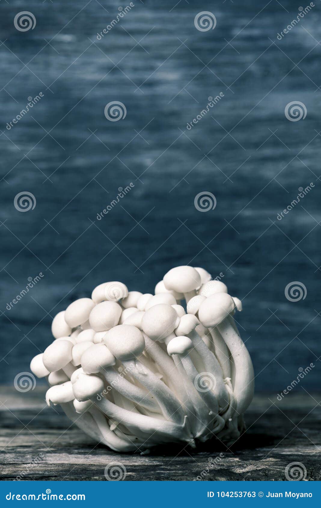 Cogumelos Japoneses Do Bunapishimeji Imagem de Stock Imagem de