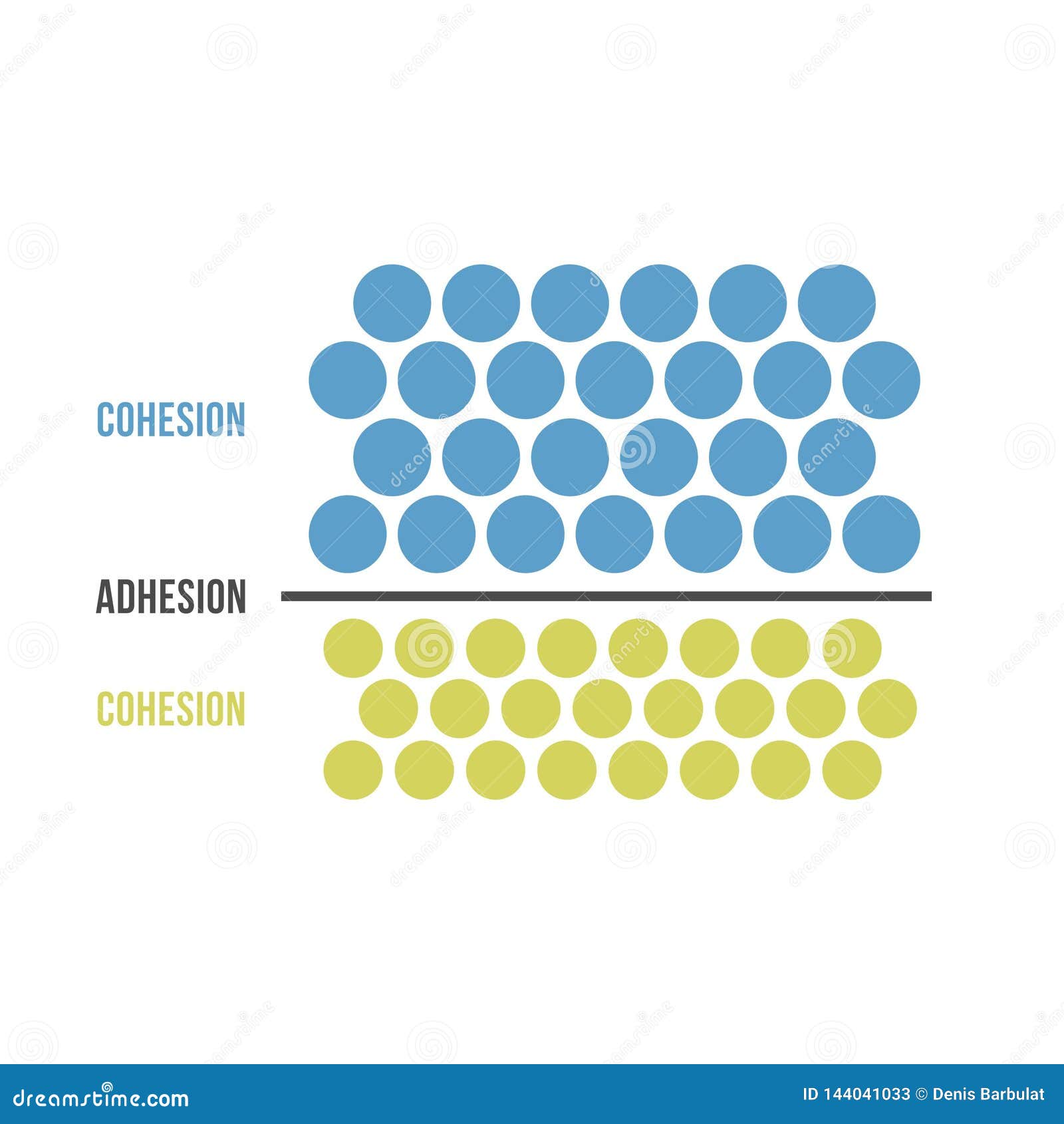 Cohesion and Adhesion stock vector. Illustration of cohesive 144041033