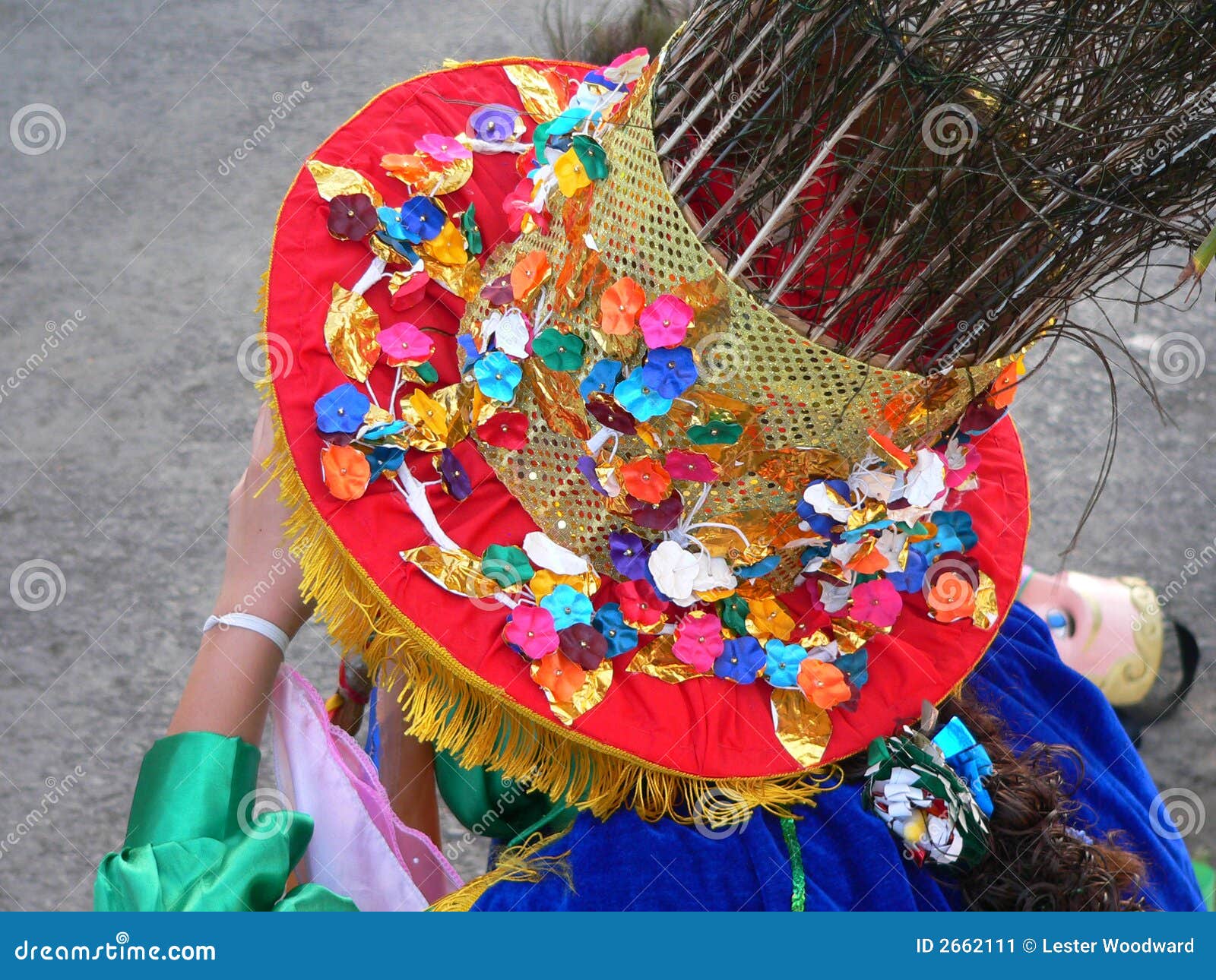 Coiffe colorée de carnaval image stock. Image du fleurs - 2662111