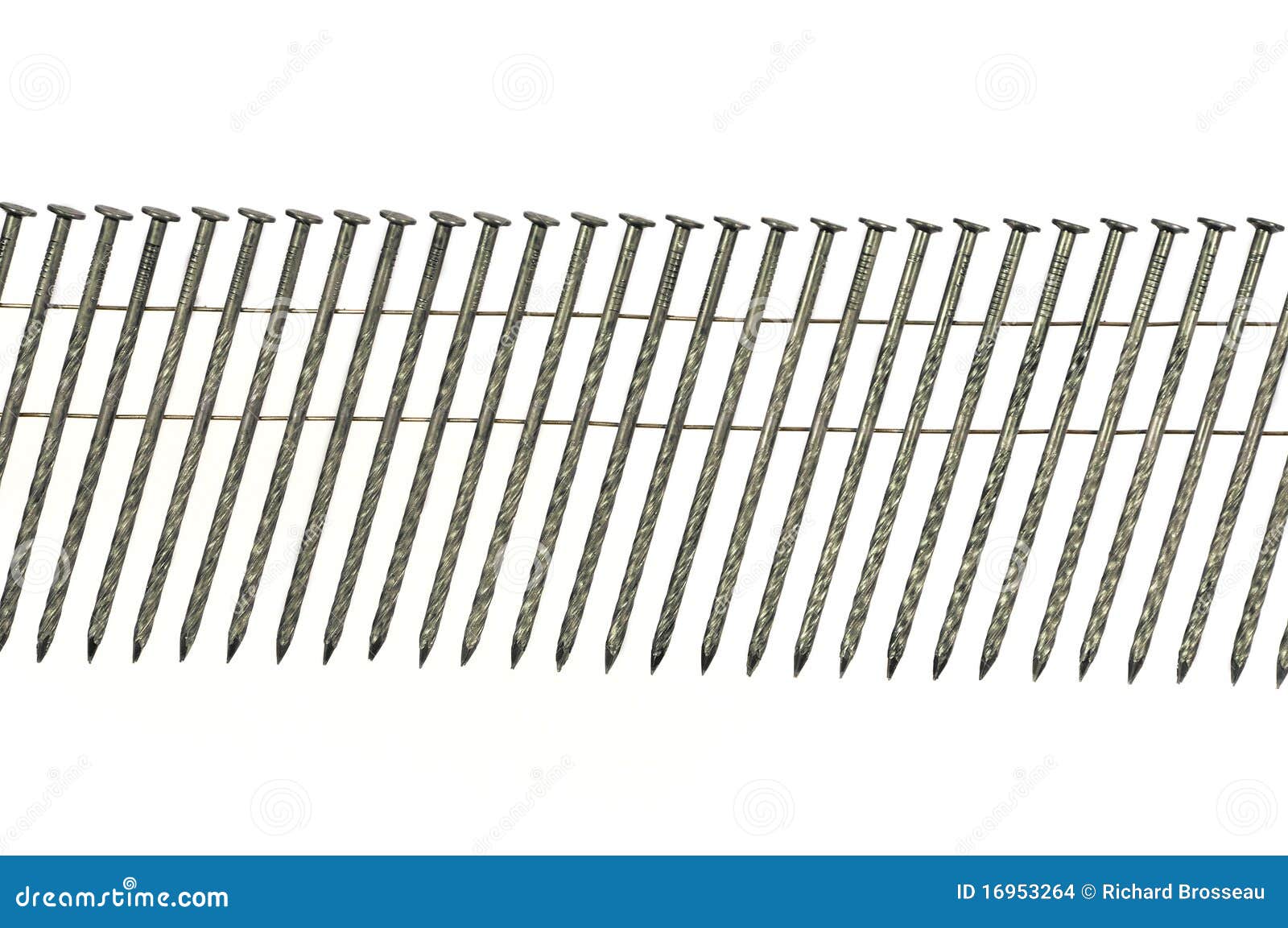 Coil Nails Closeup in Straight Line Isolated Stock Photo Image of
