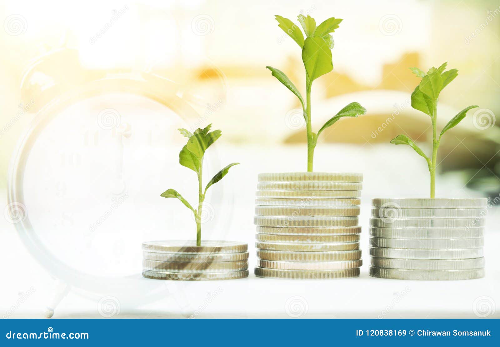 coin with tree in mutual funds concept.