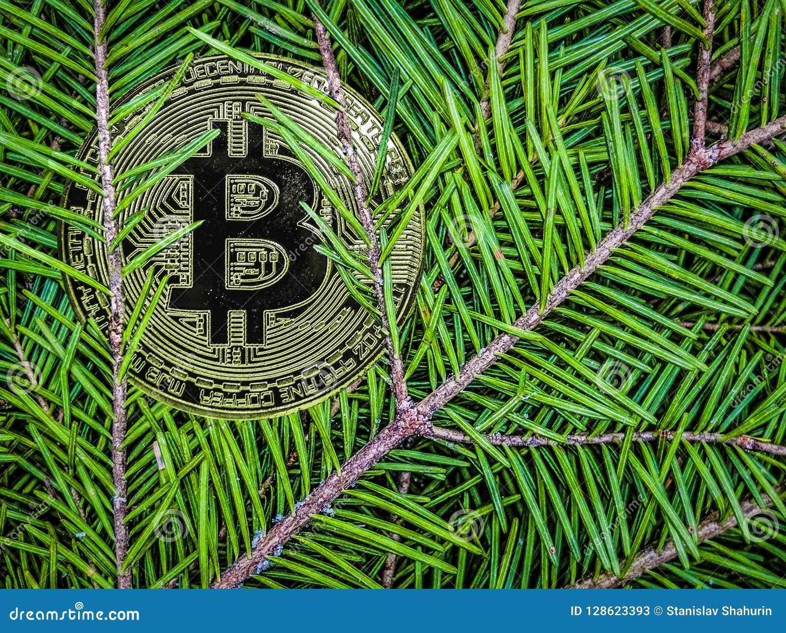 Coins of Btc on the Branches of Spruce. Christmas Crypto Gift. Stock Image  - Image of market, cash: 128623393
