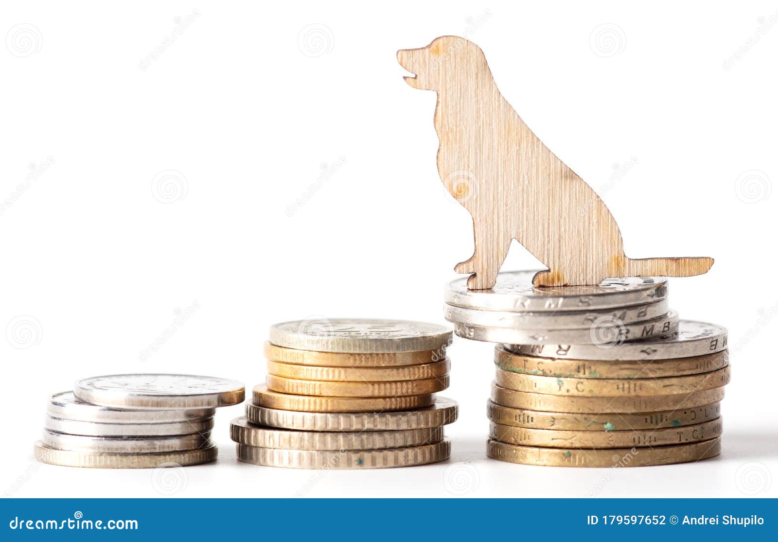 Coins and a Dog on a White Background Stock Photo Image of background