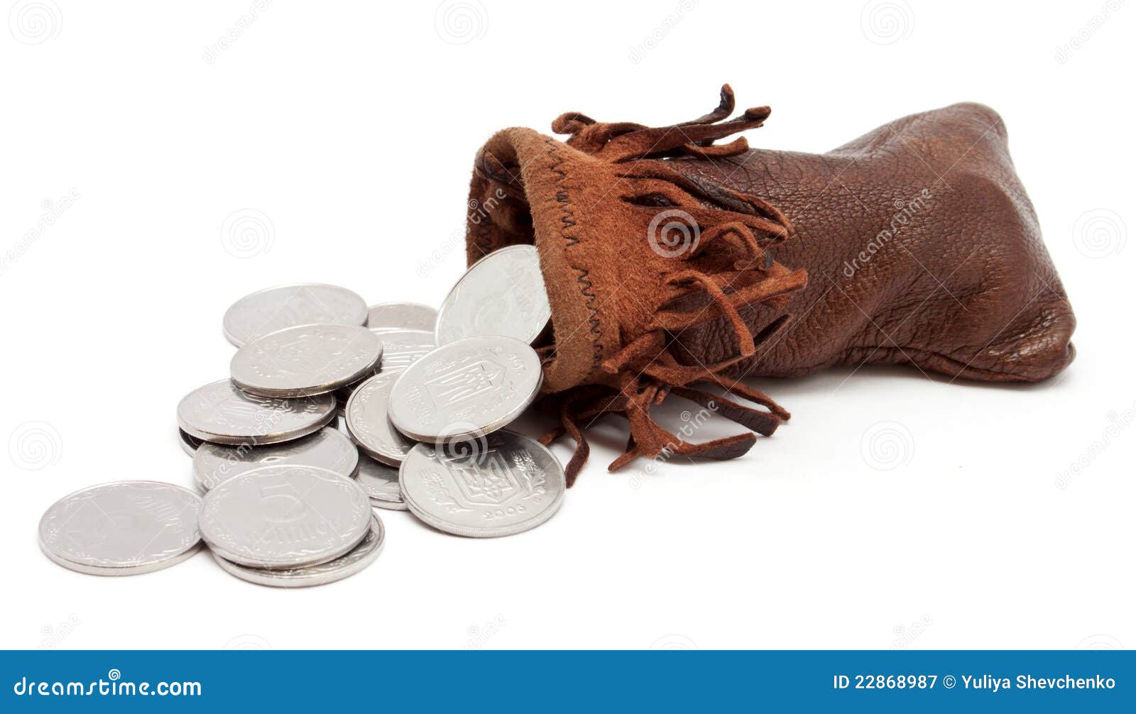 pouch of coins