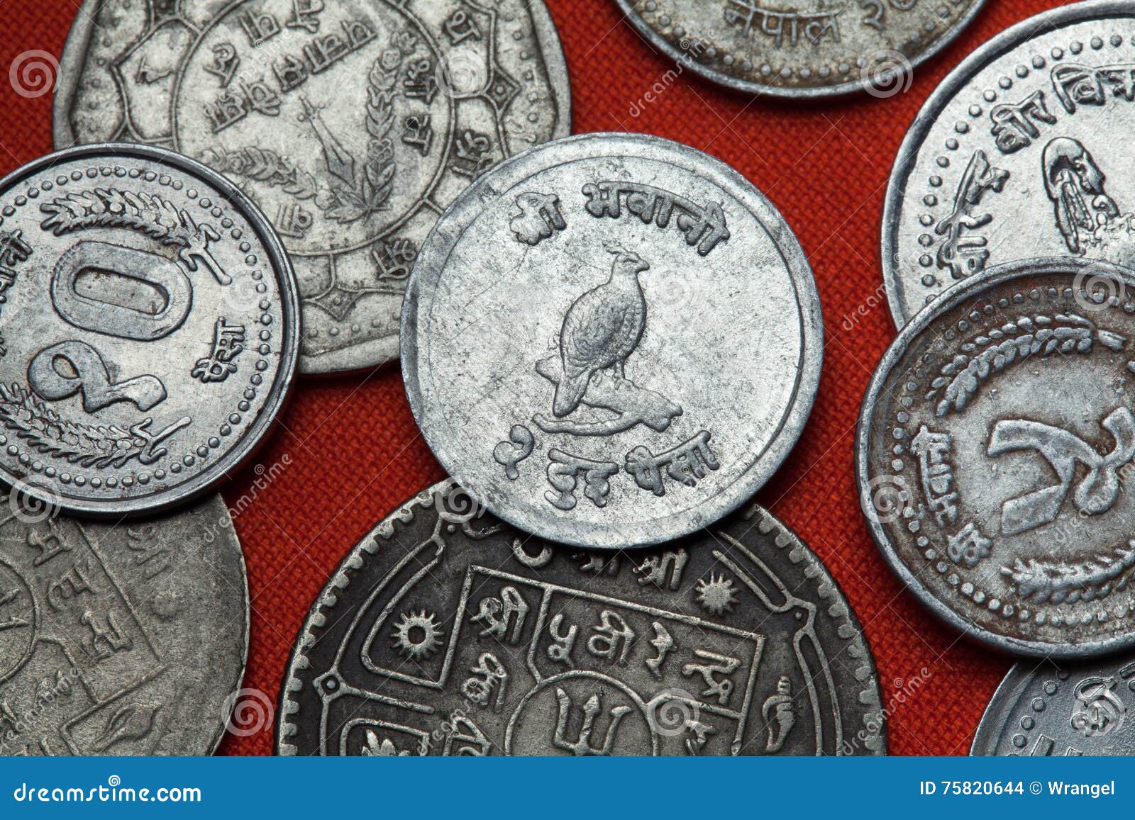 Coins Of Nepal. Himalayan Monal (Lophophorus Impejanus) Stock Photo ...