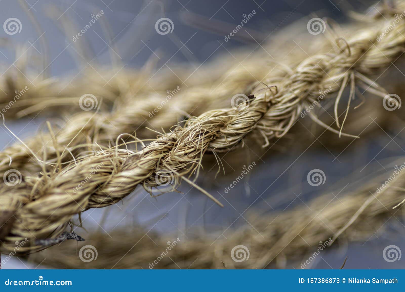 Coir Twine Close Up Macro Photograph Stock Image Image of twine, travel 187386873