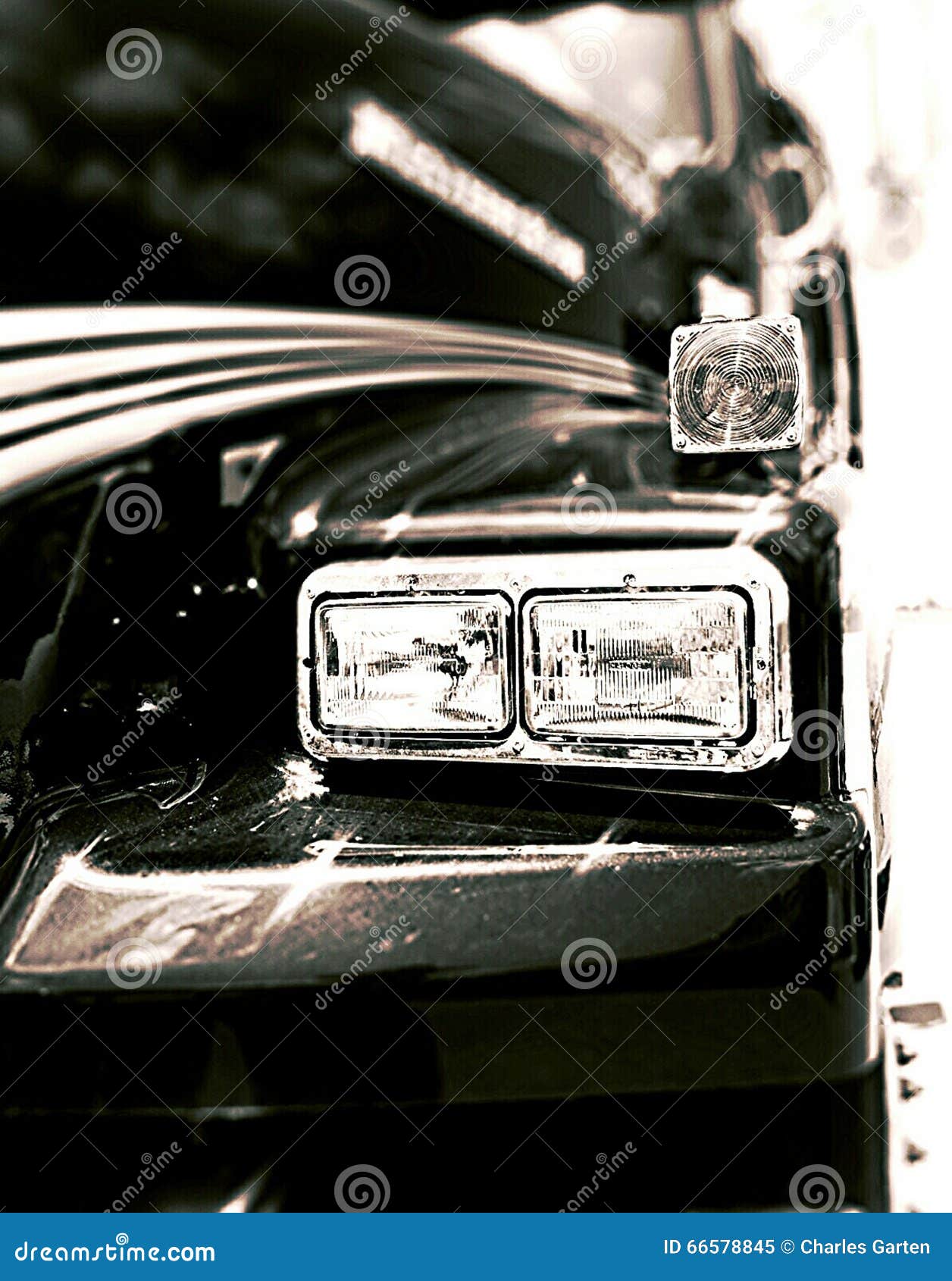 Cola Cortada Blanco Y Negro Imagen de archivo Imagen de bobo, blanco