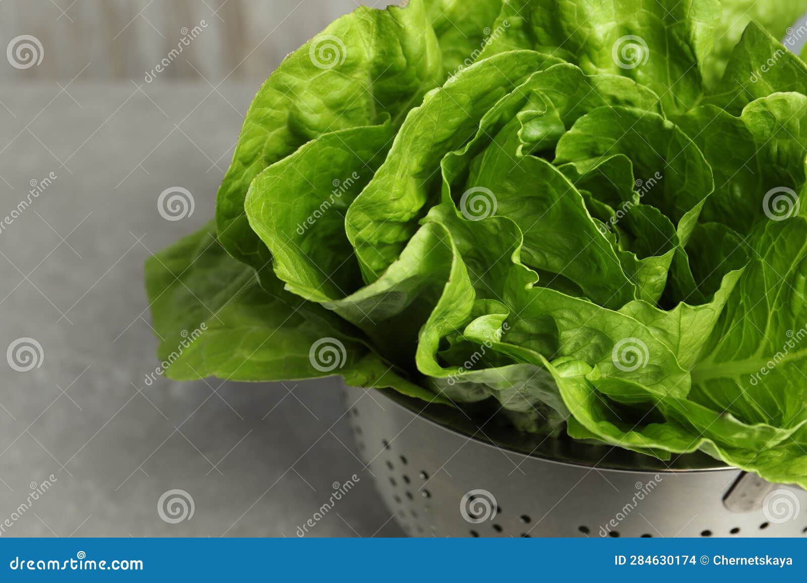 Colander with Fresh Green Romaine Lettuces on Light Grey Table, Closeup