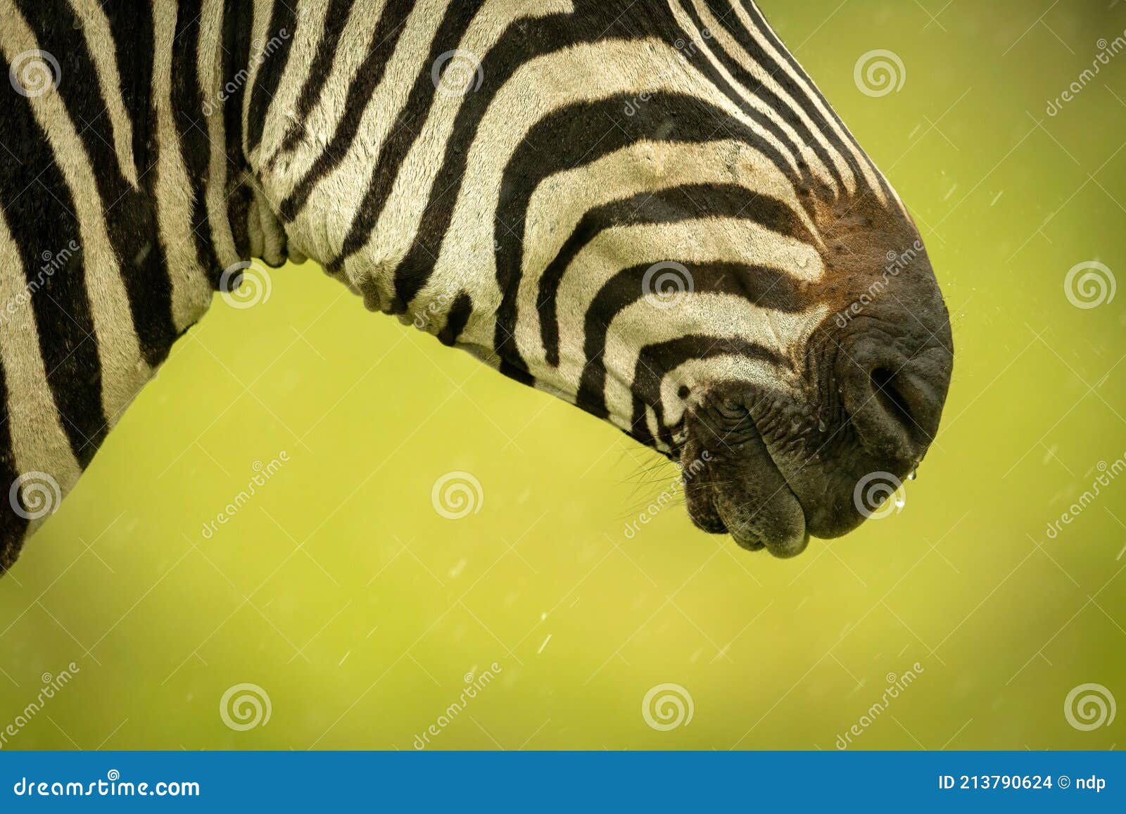 Aventura em Horton Plains (4 dias) – Lakpura®, image size:1600x1157