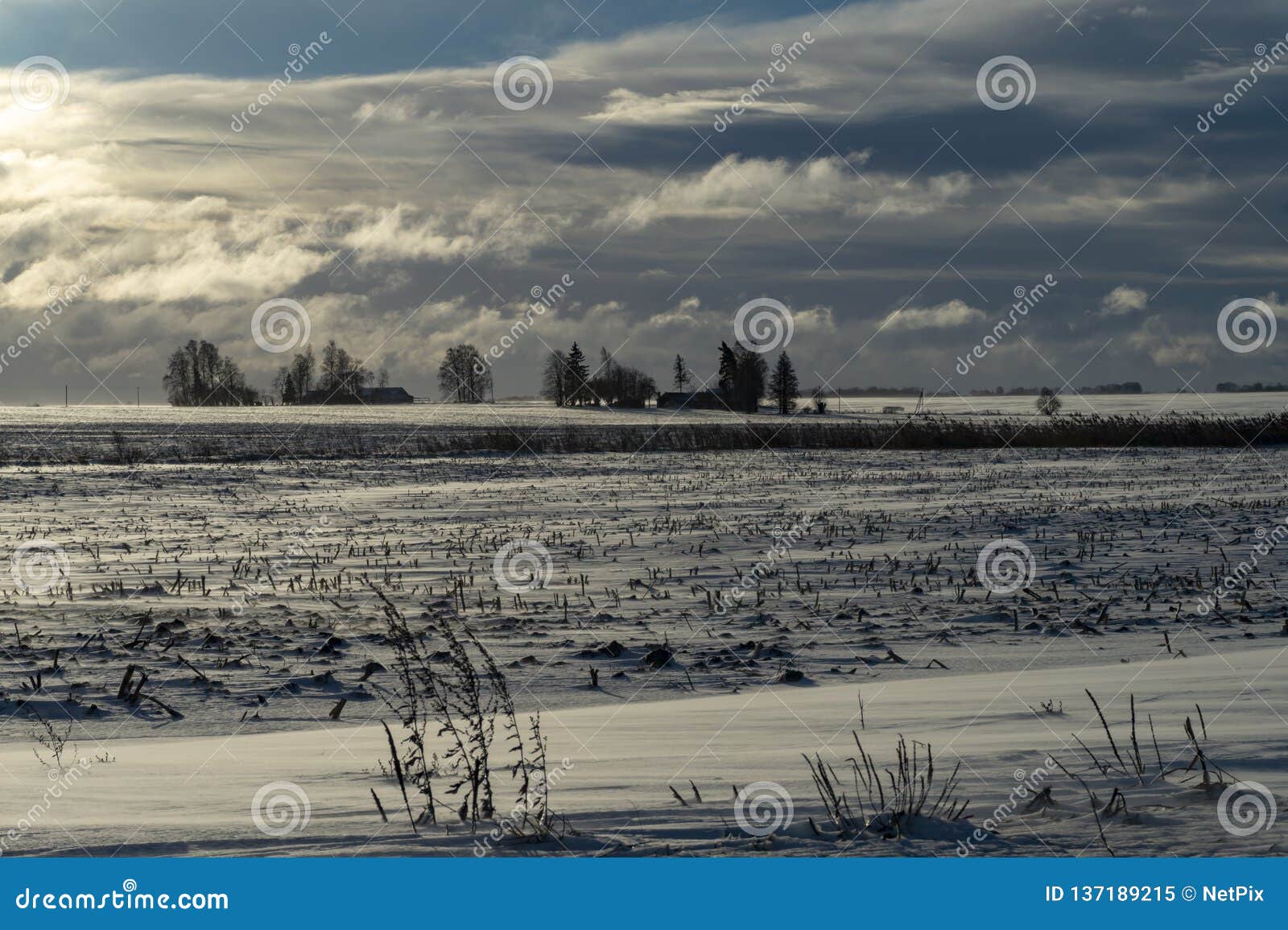 cold bleak snowy winter landscape